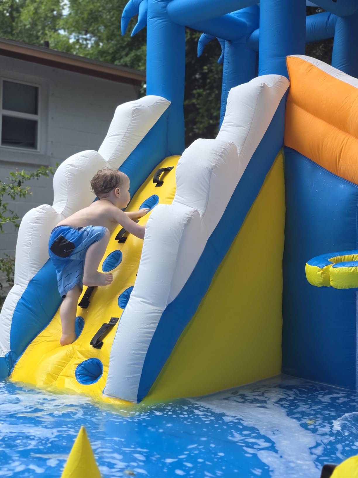 TOAOB Inflatable Water Slide,5 in 1 Dolphin Inflatable Bounce House for Kids- Climbing Wall Splash Pool Water Cannon Basketball Rim - 480W Blower - for Indoor Outdoor Backyard Birthday Party customer photo 1