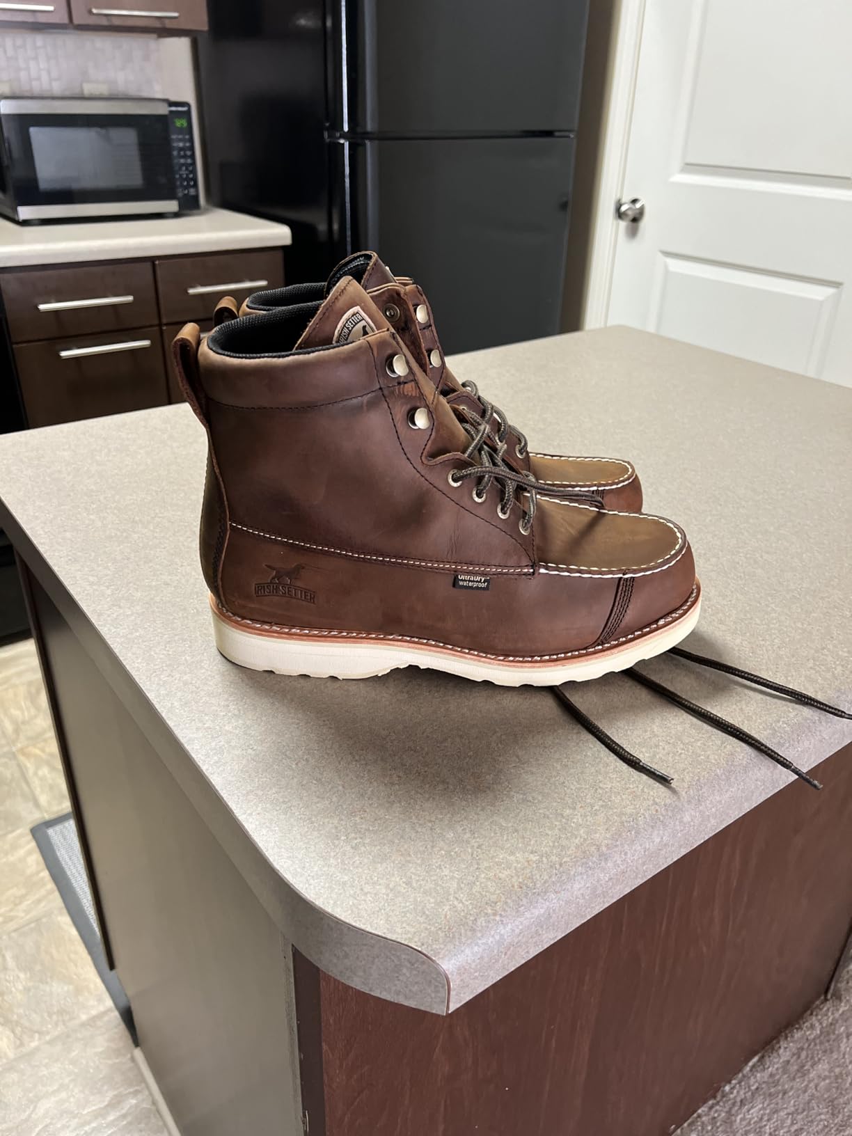 Irish Setter Wingshooter 7