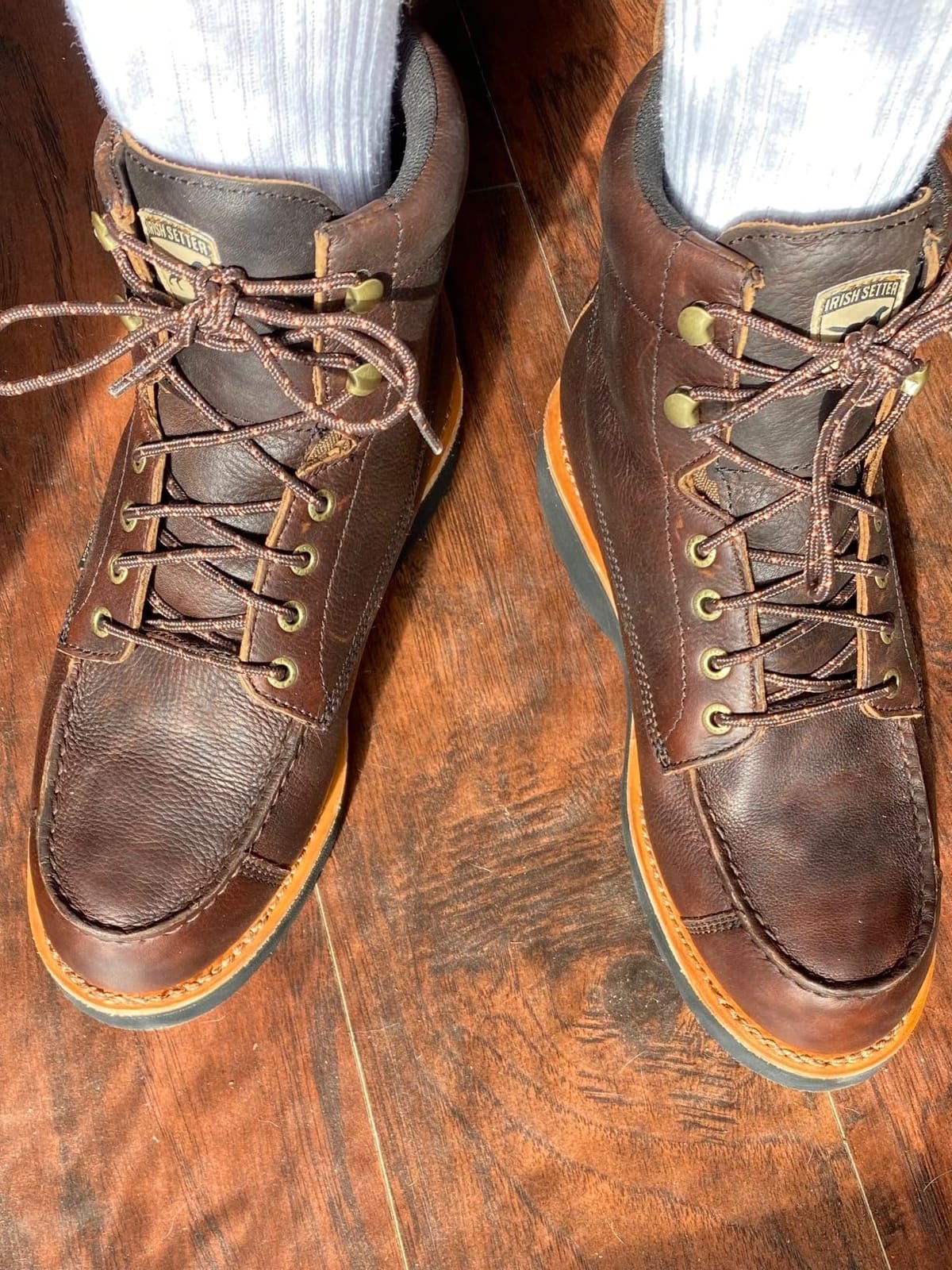 Irish Setter Wingshooter 7