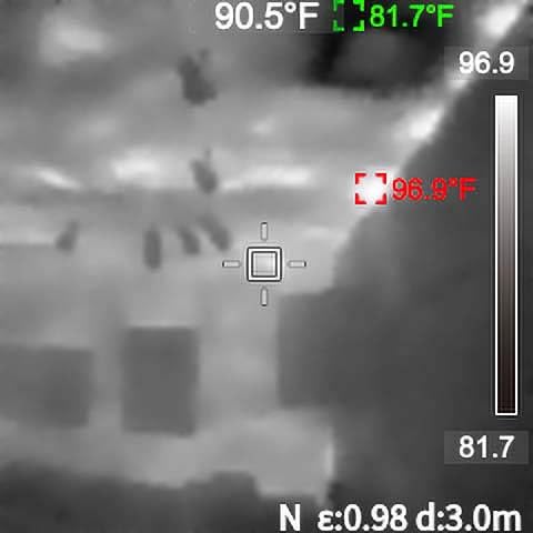 MILESEEY TR10 Thermal Imaging Camera, 192 × 192 IR Resolution, 25Hz customer photo 1