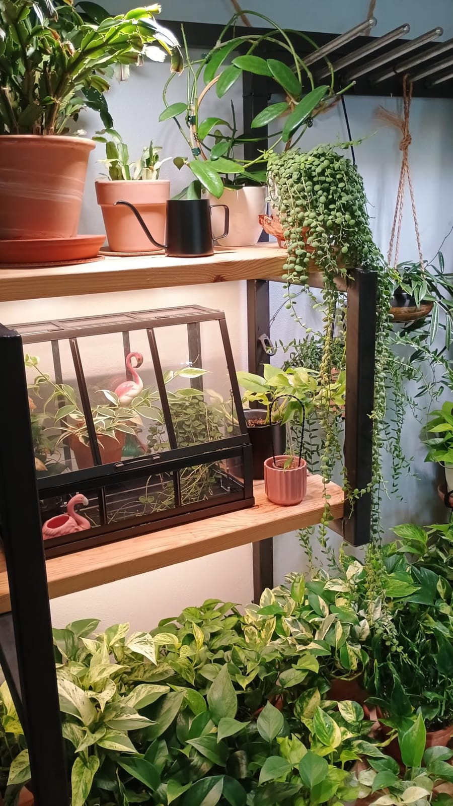 Watering Can Indoor Plants, Small Plant Watering Can, 12 oz, Black customer photo 1