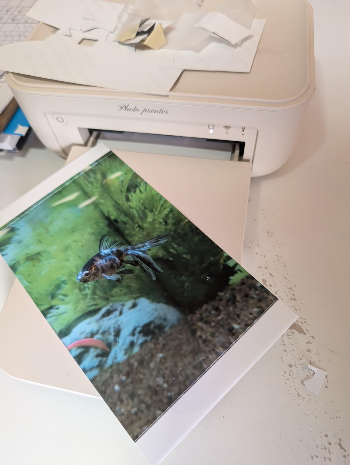 HPRT Photo Printer 4x6 with 108 Sheets Photo Paper & 2 Ribbons customer photo 1