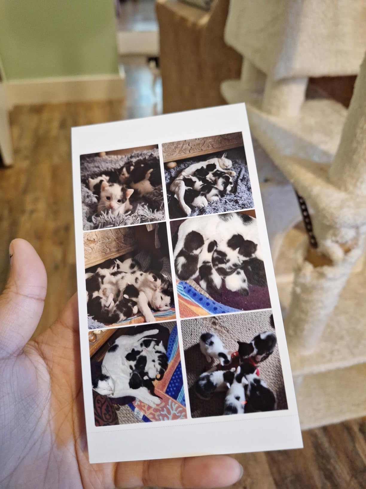 HPRT Photo Printer 4x6 with 108 Sheets Photo Paper & 2 Ribbons customer photo 2