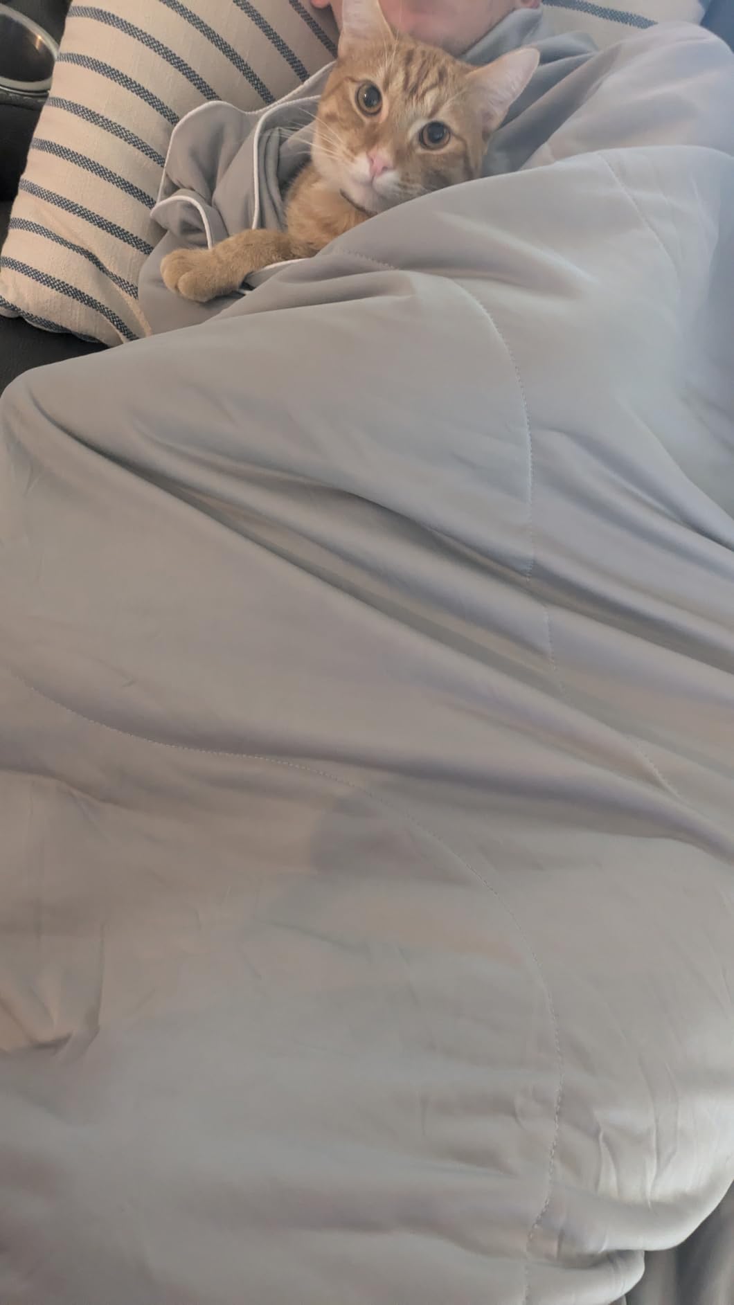 DOWNCOOL Cooling Comforter Queen Size,Grey Cooling Blanket for Hot Sleeper customer photo 1