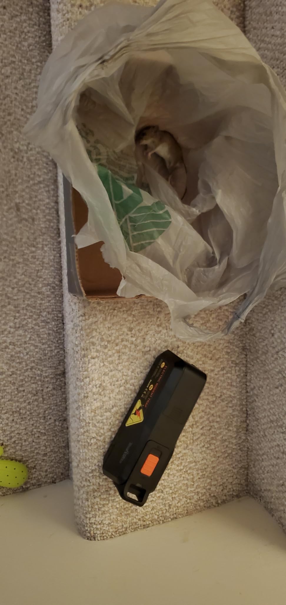 Teal Elite Electric Mouse Trap - Electronic Rodent Zapper for Indoors & Home - Humane & Effective Mouse Traps - Reusable, No Touch Mouse Killer - Safe & Easy to Use (Pack 1) customer photo 2