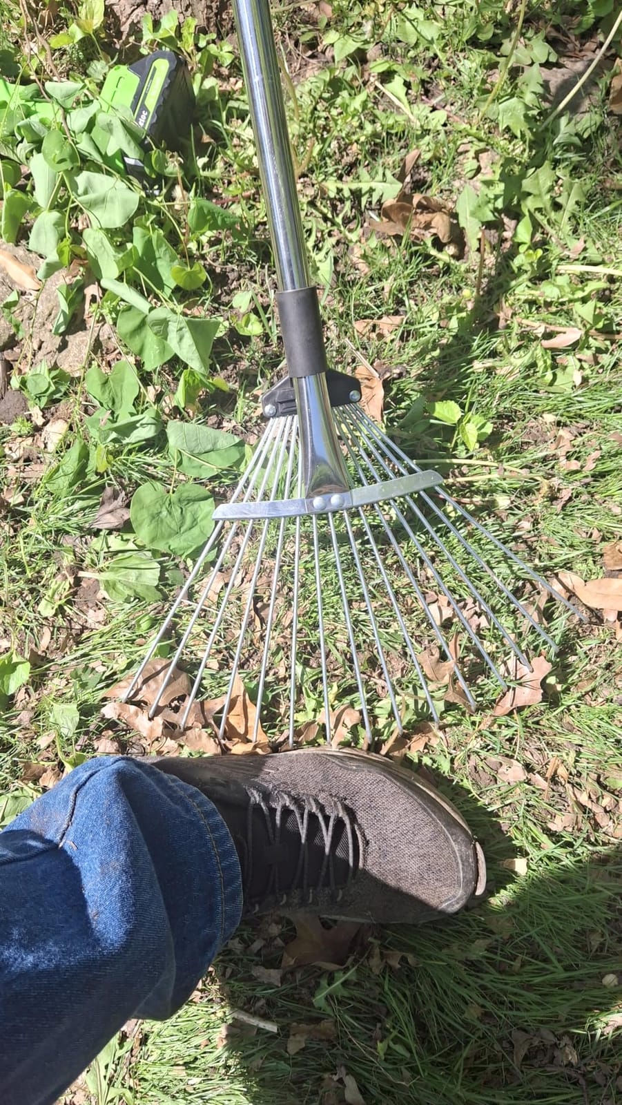 Garden Rake for Leaves,Heavy Duty Metal Adjustable Leaf Rake for Lawns,Long Handle 33