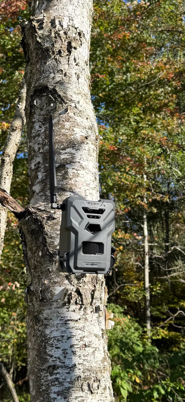 SPYPOINT Flex-Dark Twin Solar Cellular Trail Camera, No Glow Night Vision customer photo 1