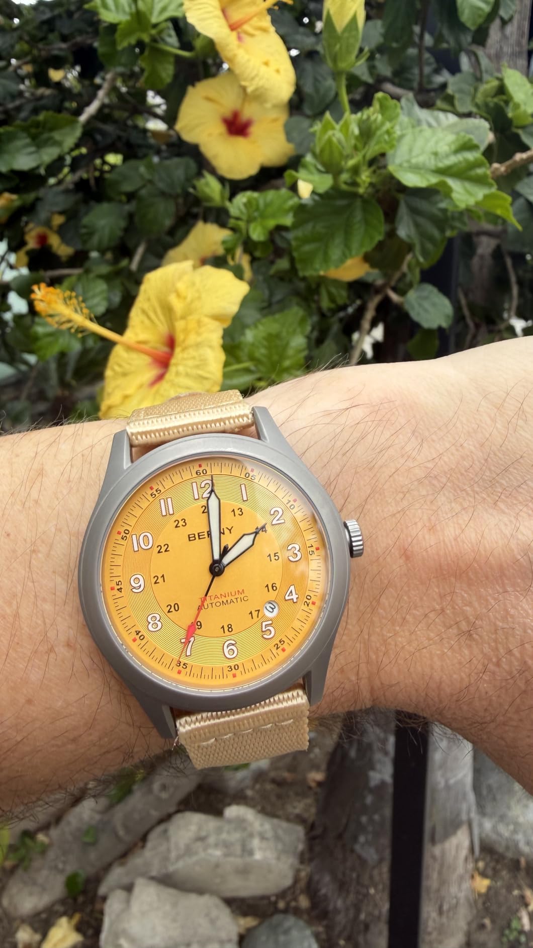 BERNY Titanium Automatic Watch, 10ATM Waterproof Men's Military Field Watch customer photo 1