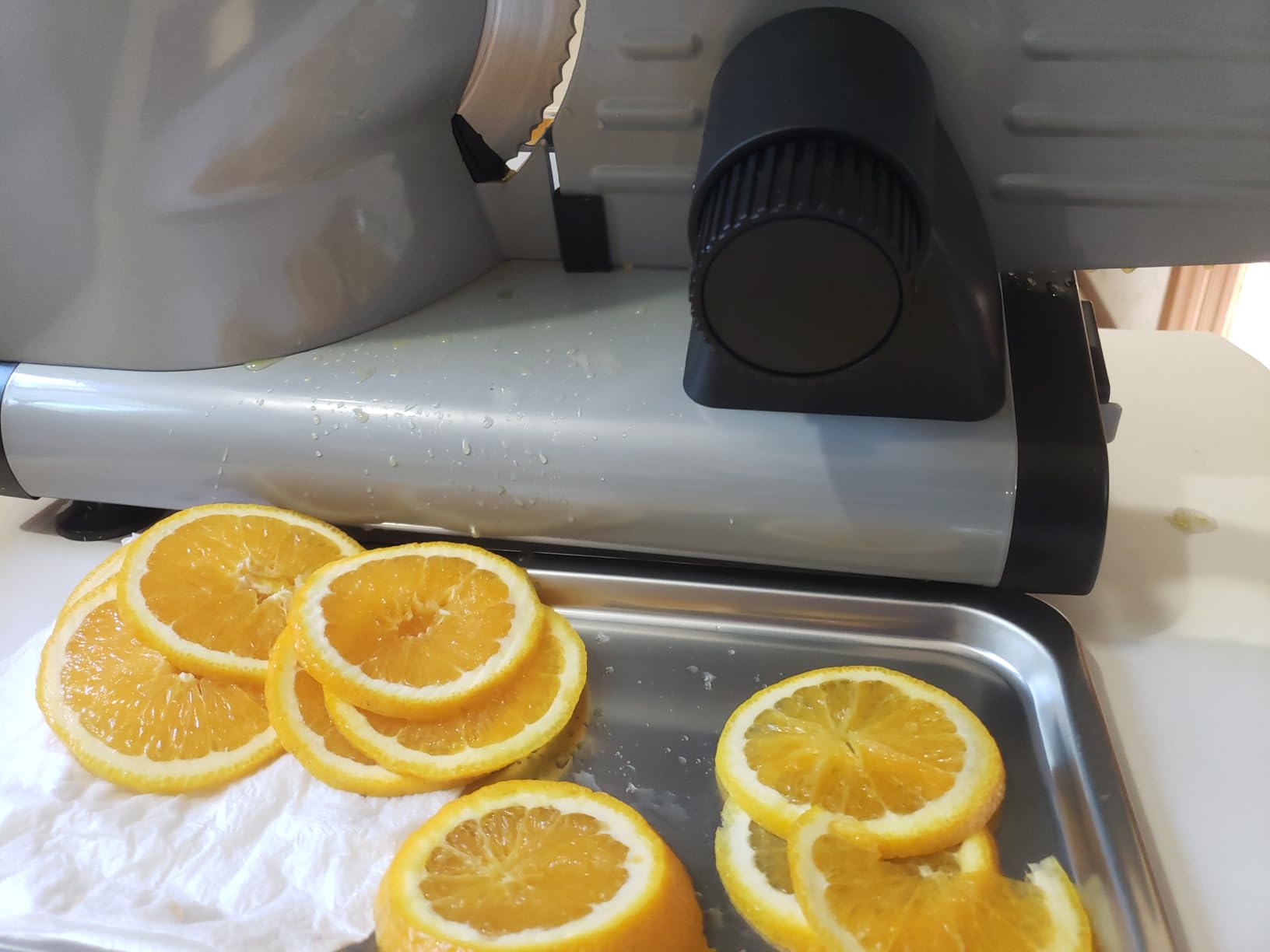 OSTBA Meat Slicer, Two 8.7” Stainless Steel Blades, 200W DC Motor customer photo 1