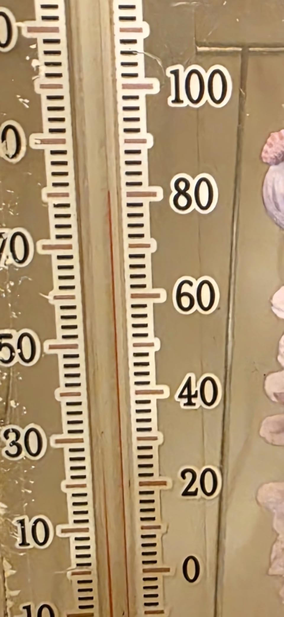 Extra Large Dough Proofing Box50-130°F, 3-Sided Heat 24HTimer customer photo 1
