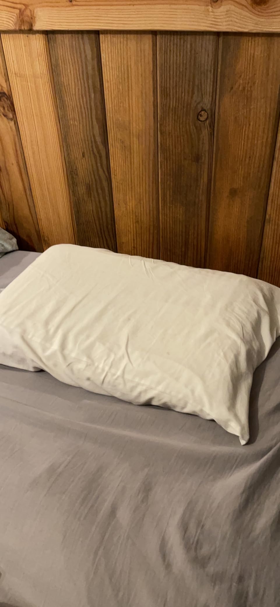 SofGlowly Thin Flat Pillow for Sleeping – 2.25