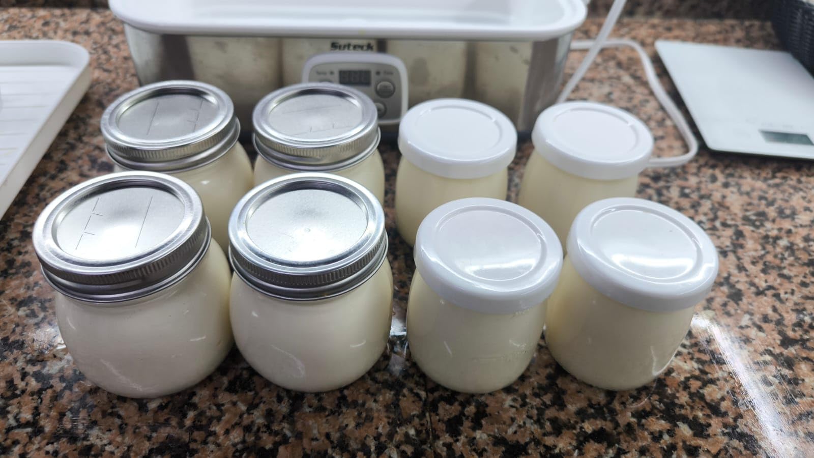 Suteck Yogurt Maker with 8 Jars, Adjustable Time & Temp Control customer photo 1