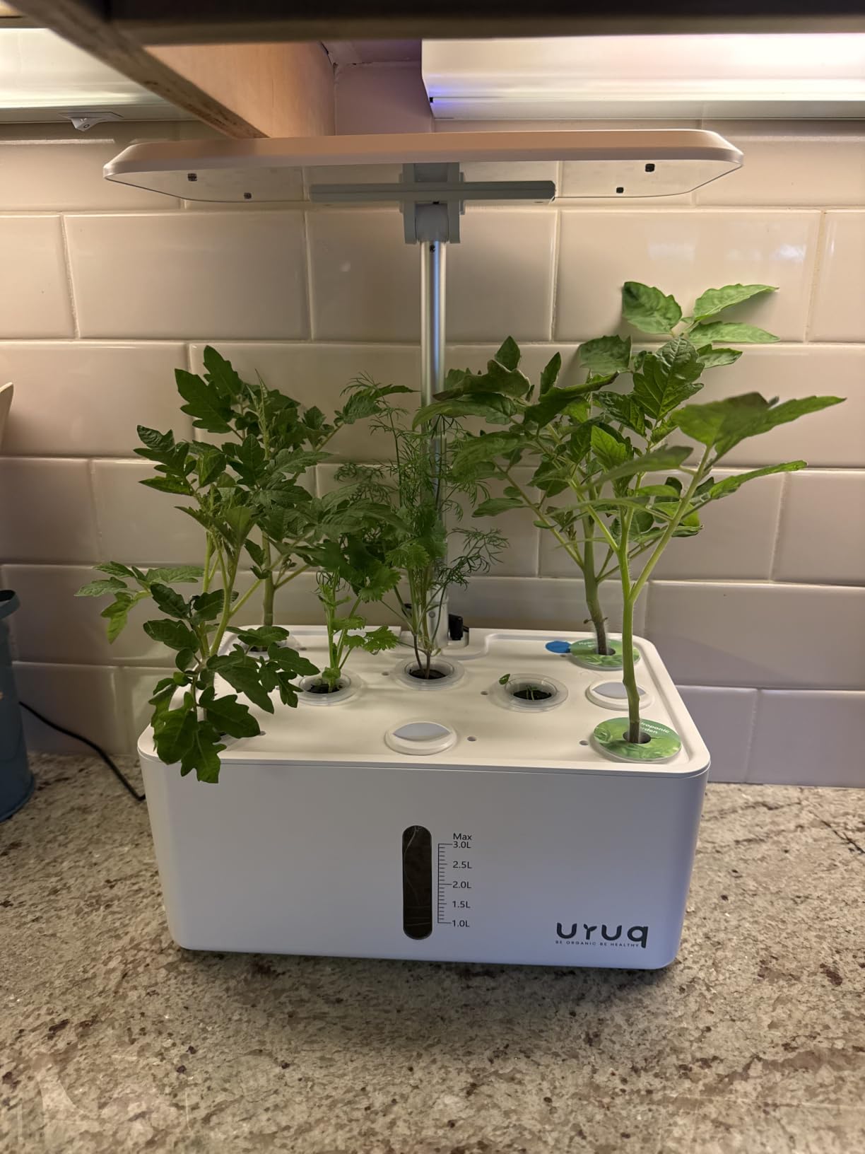 URUQ 8 Pods Hydroponics Growing System with LED Grow Light - Black customer photo 2