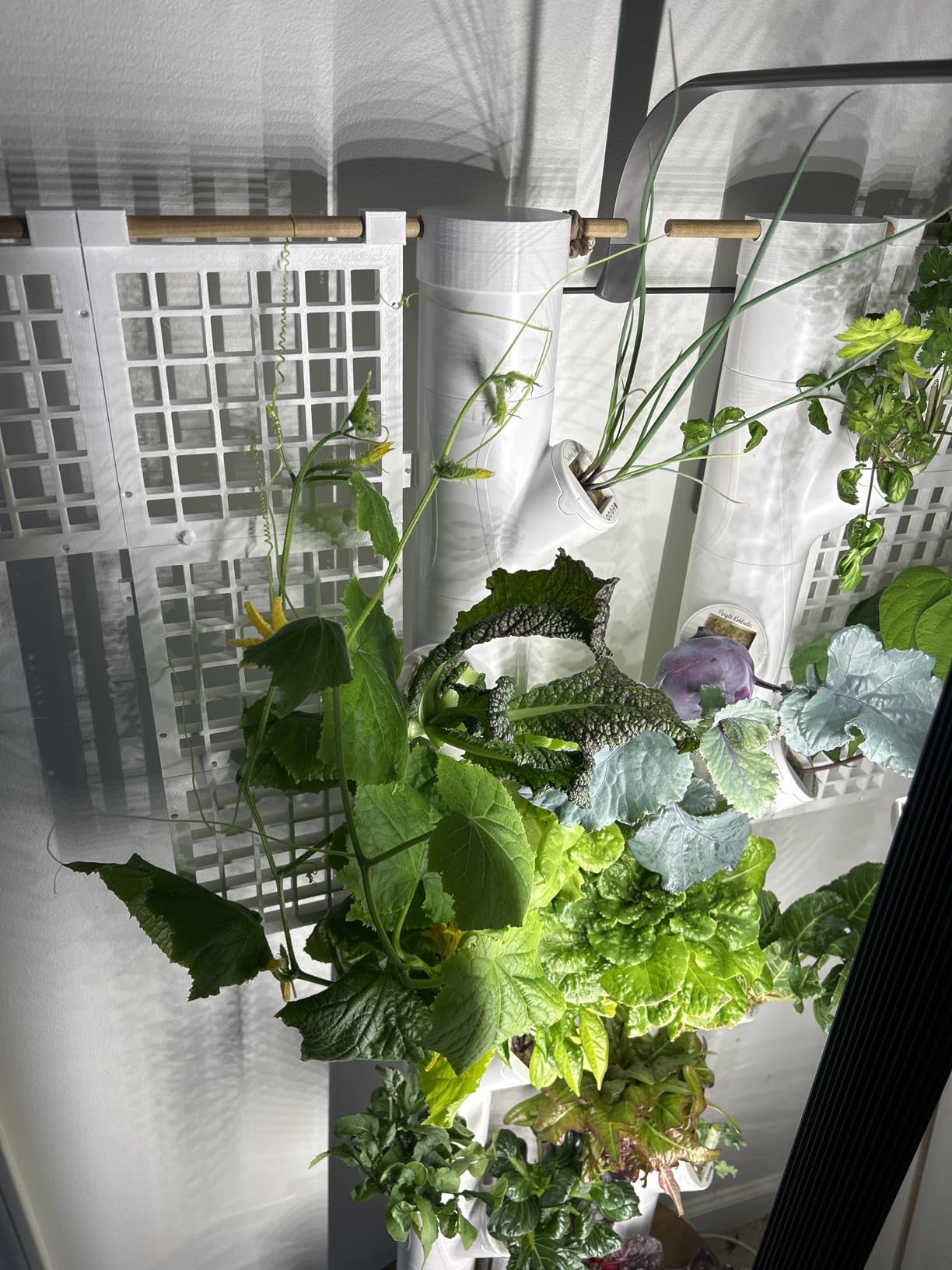 Gardyn Studio 2 Hydroponics Growing System - 16 Plants, Smart Tower customer photo 2
