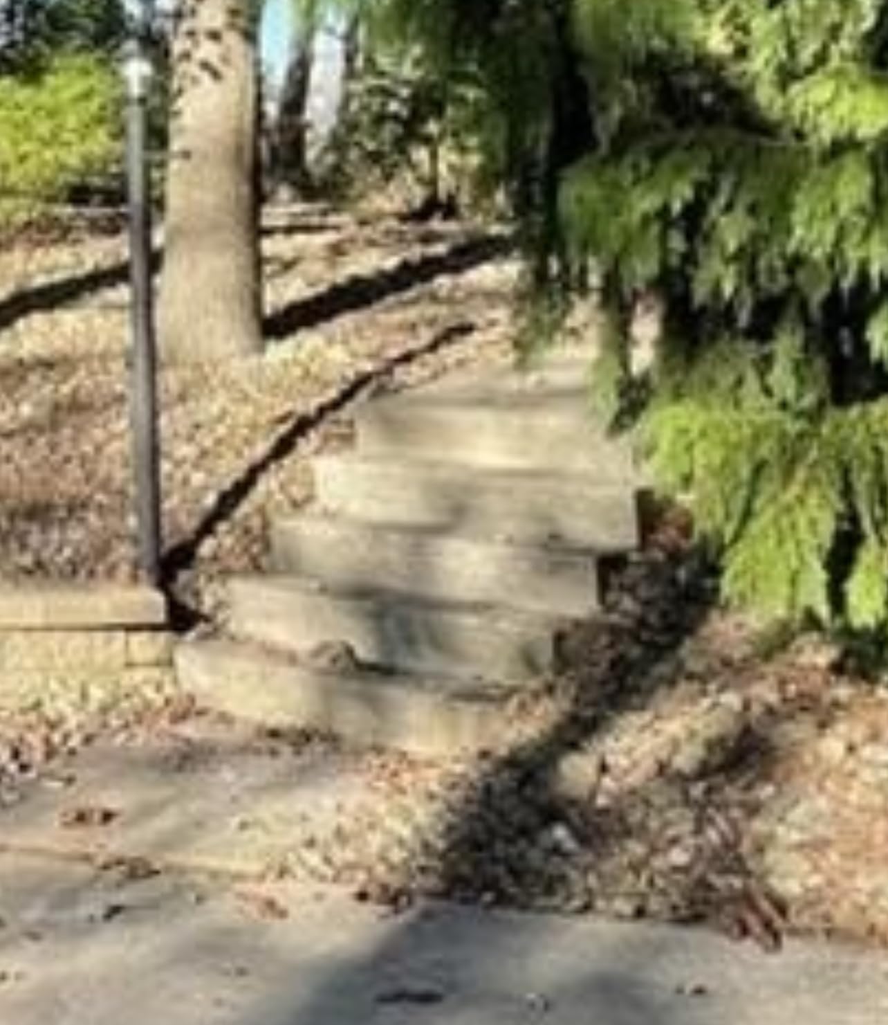 VIVOHOME 4-Step Hand Rails for Outdoor Steps, Straight-Oval and Balusters customer photo 2