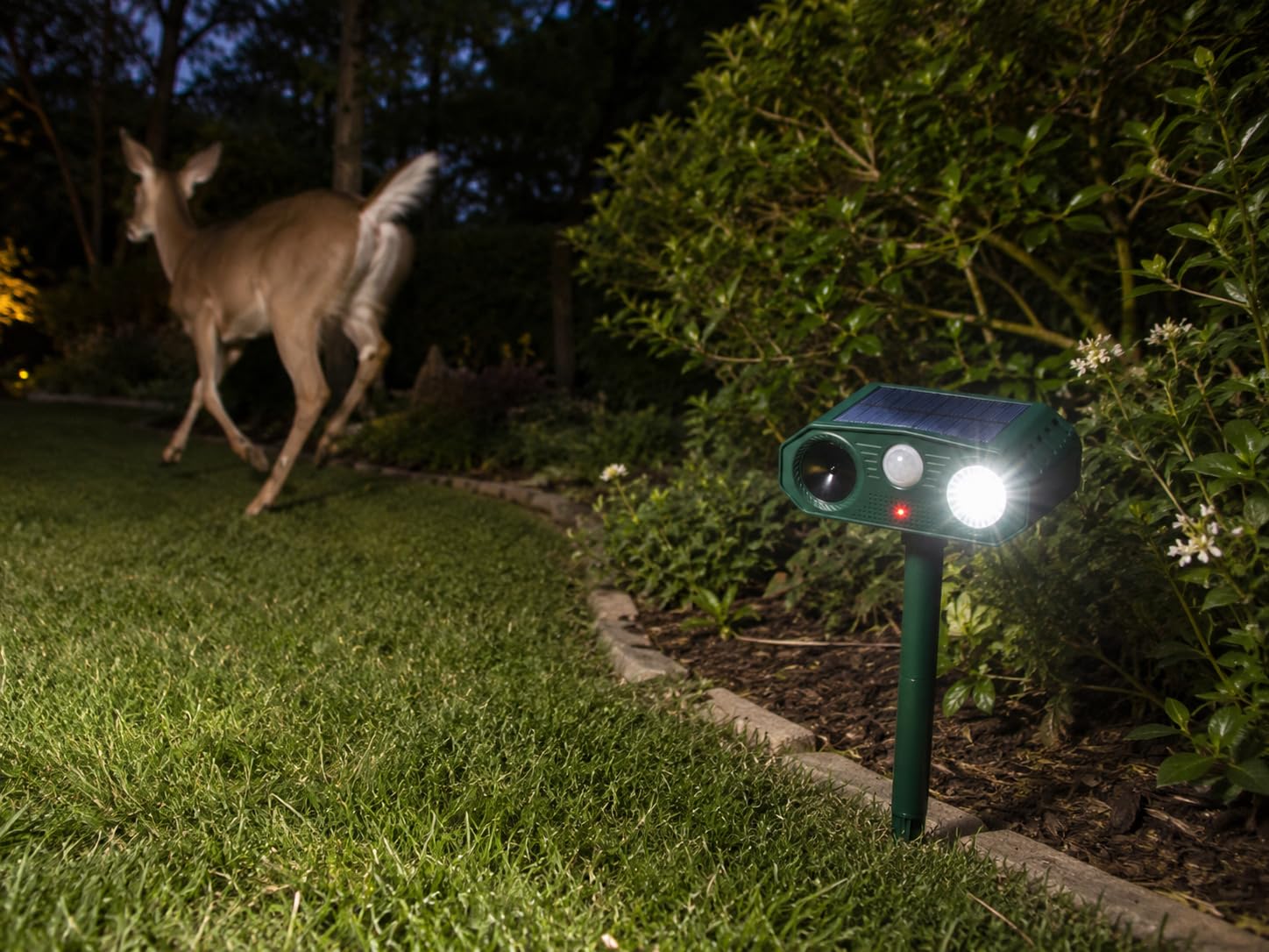 Solar Ultrasonic Animal Repellent Deer Repellent & Skunk Repellent for Yard customer photo 1