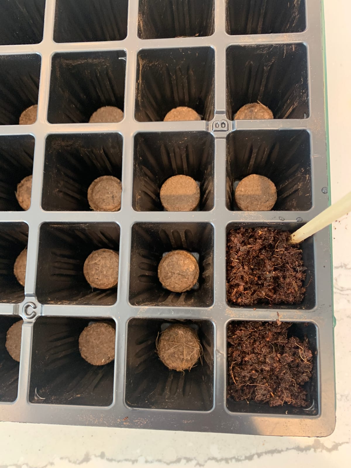 Burpee 72 Cell Seed Starting Kit with Greenhouse Dome and Coir Pellets customer photo 1
