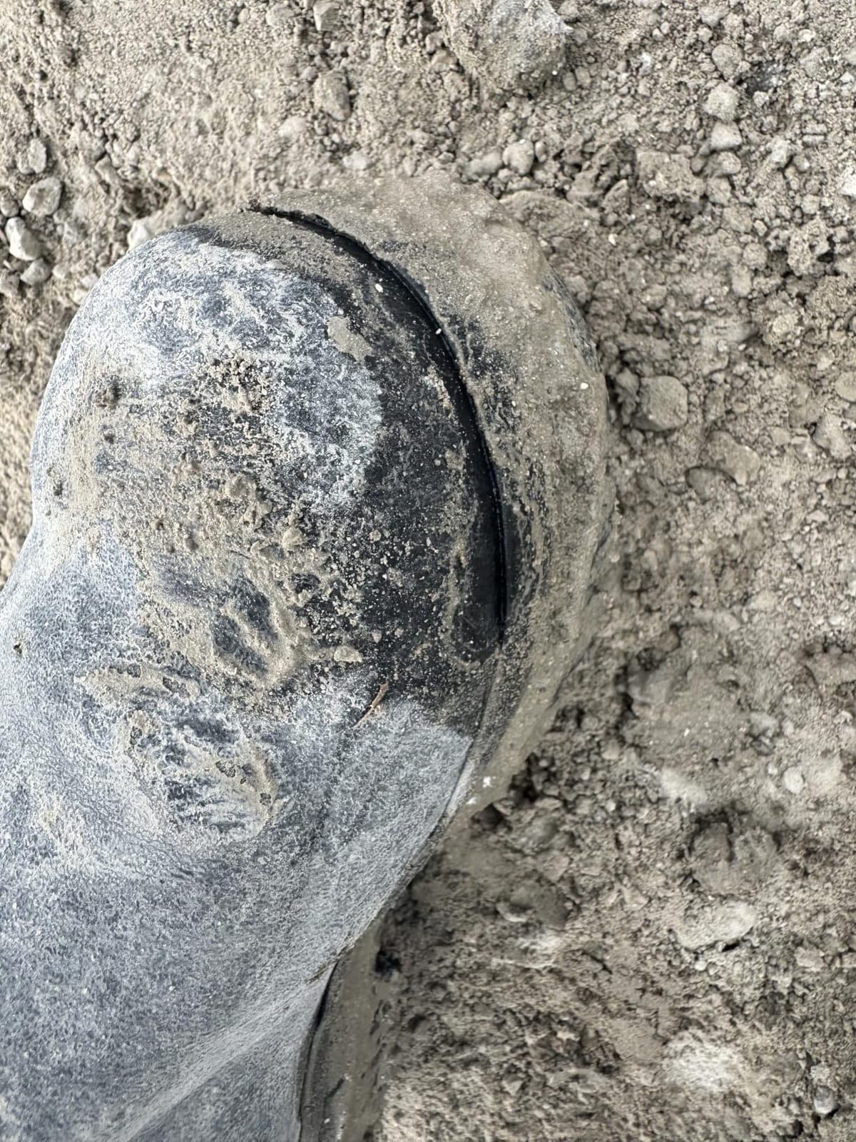 MUCK Men's Chore Met Guard Work Boots customer photo 2