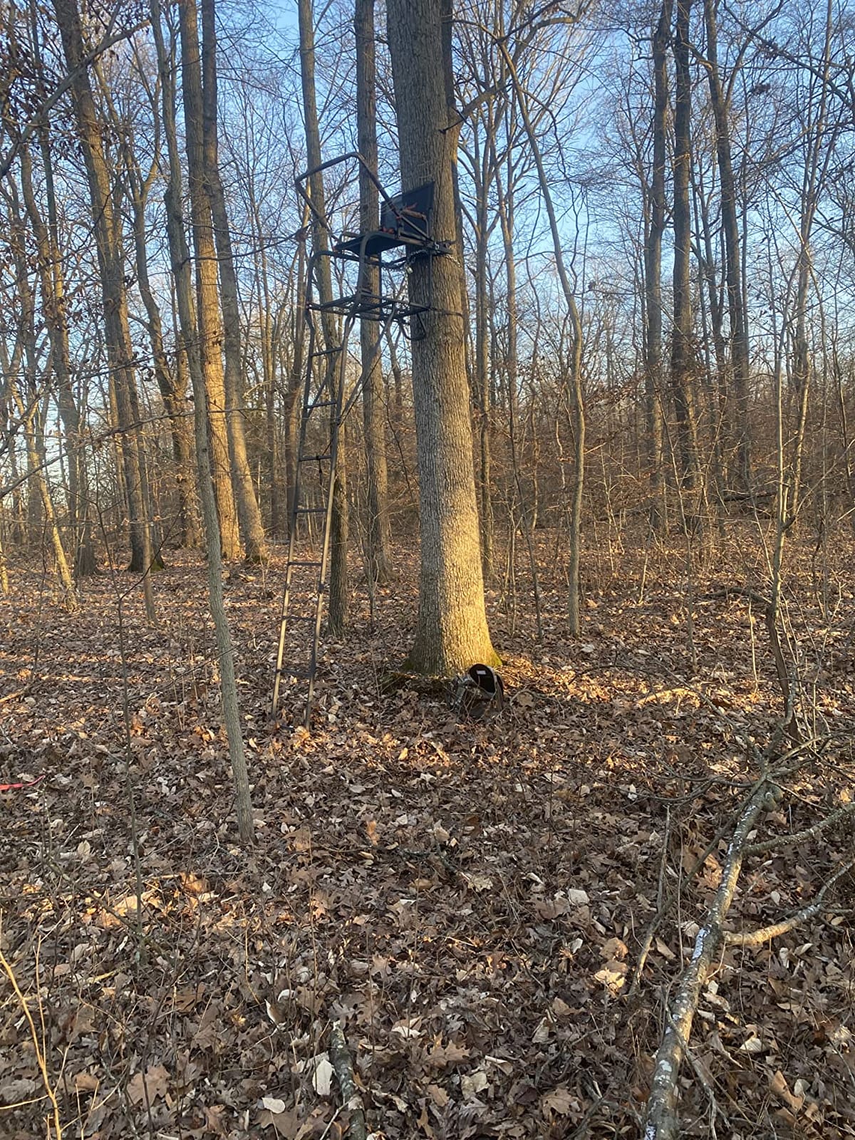 BIG GAME Ladder Tree/Tripod Stand for Hunting Deer customer photo 2