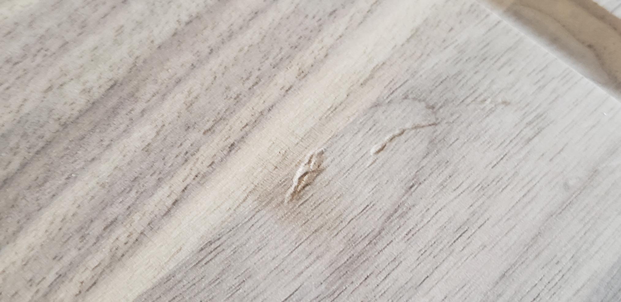 Virginia Boys Kitchens - Made in USA - Extra Large Walnut Wood Cutting Board - Brisket and Turkey Carving Board - Reversible with Juice Groove (Walnut, 24inx18inx1in) customer photo 1