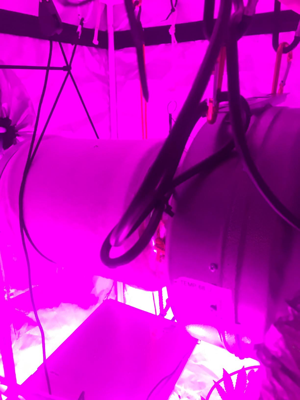 iPower 4 Inch 190 CFM Inline Exhaust Fan, Air Carbon Filter, 8 Feet Ducting, Rope Hanger for Grow Tent Ventilation, Lite Kits customer photo 1