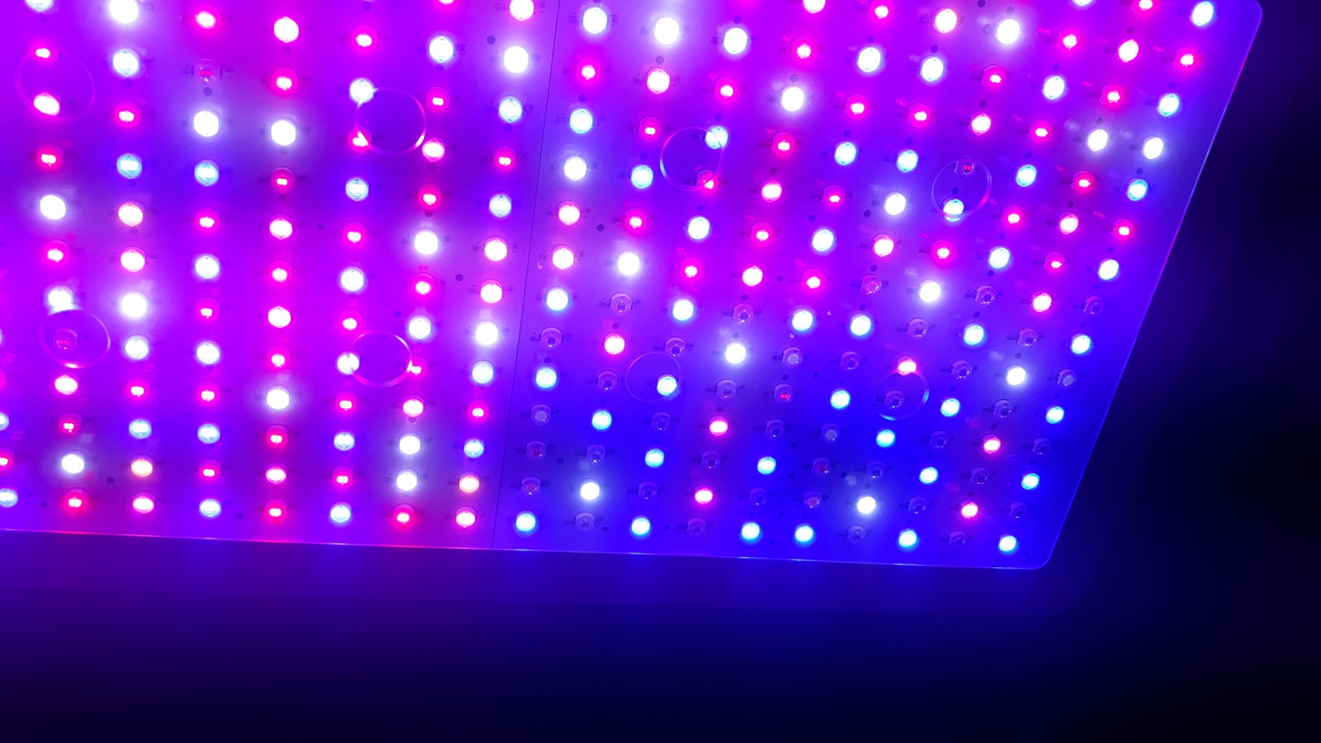 KingLED KP3000 Grow Light for Indoor Plants, Full Spectrum Plant Grow Light customer photo 1