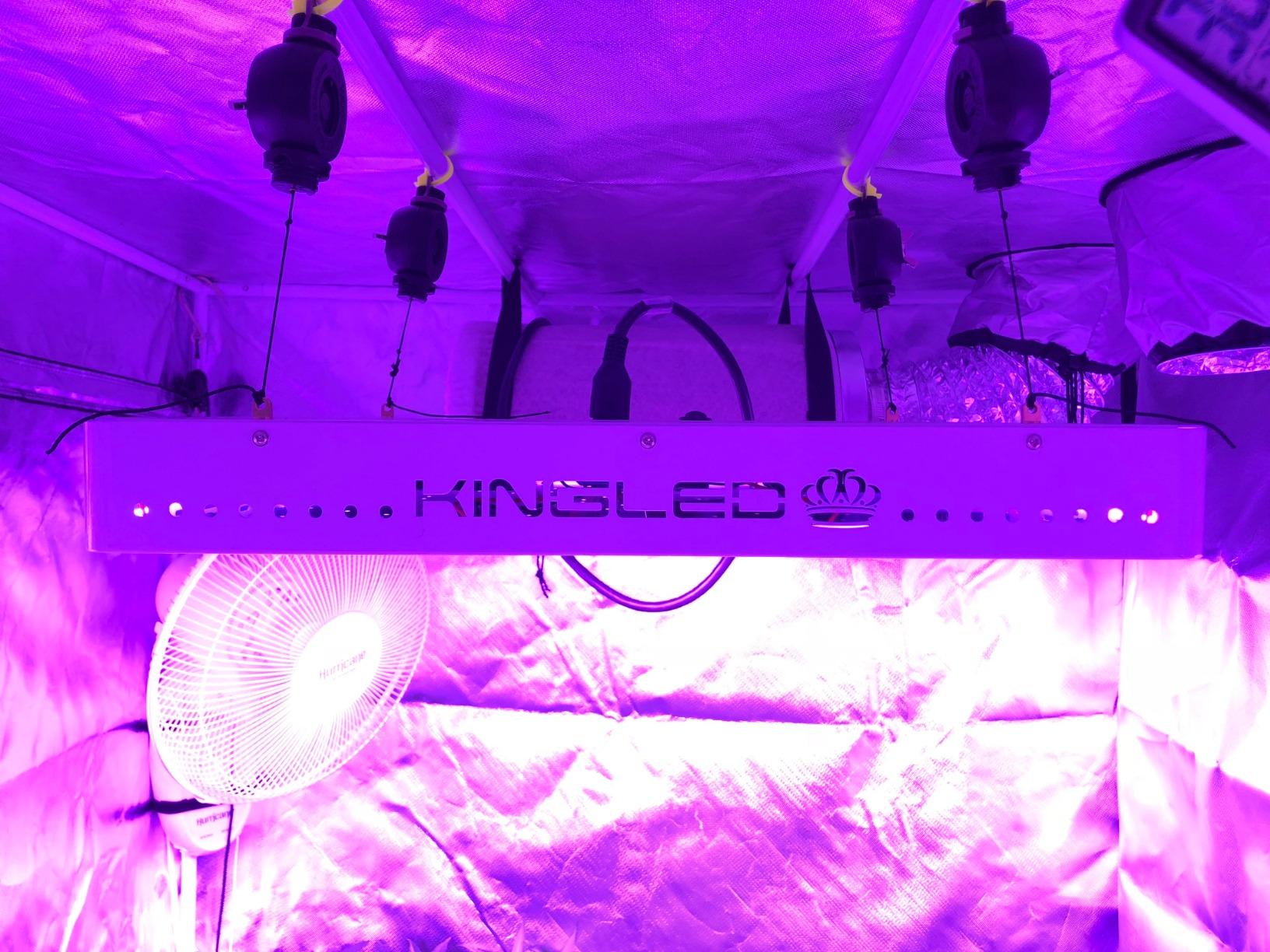 KingLED KP3000 Grow Light for Indoor Plants, Full Spectrum Plant Grow Light customer photo 2