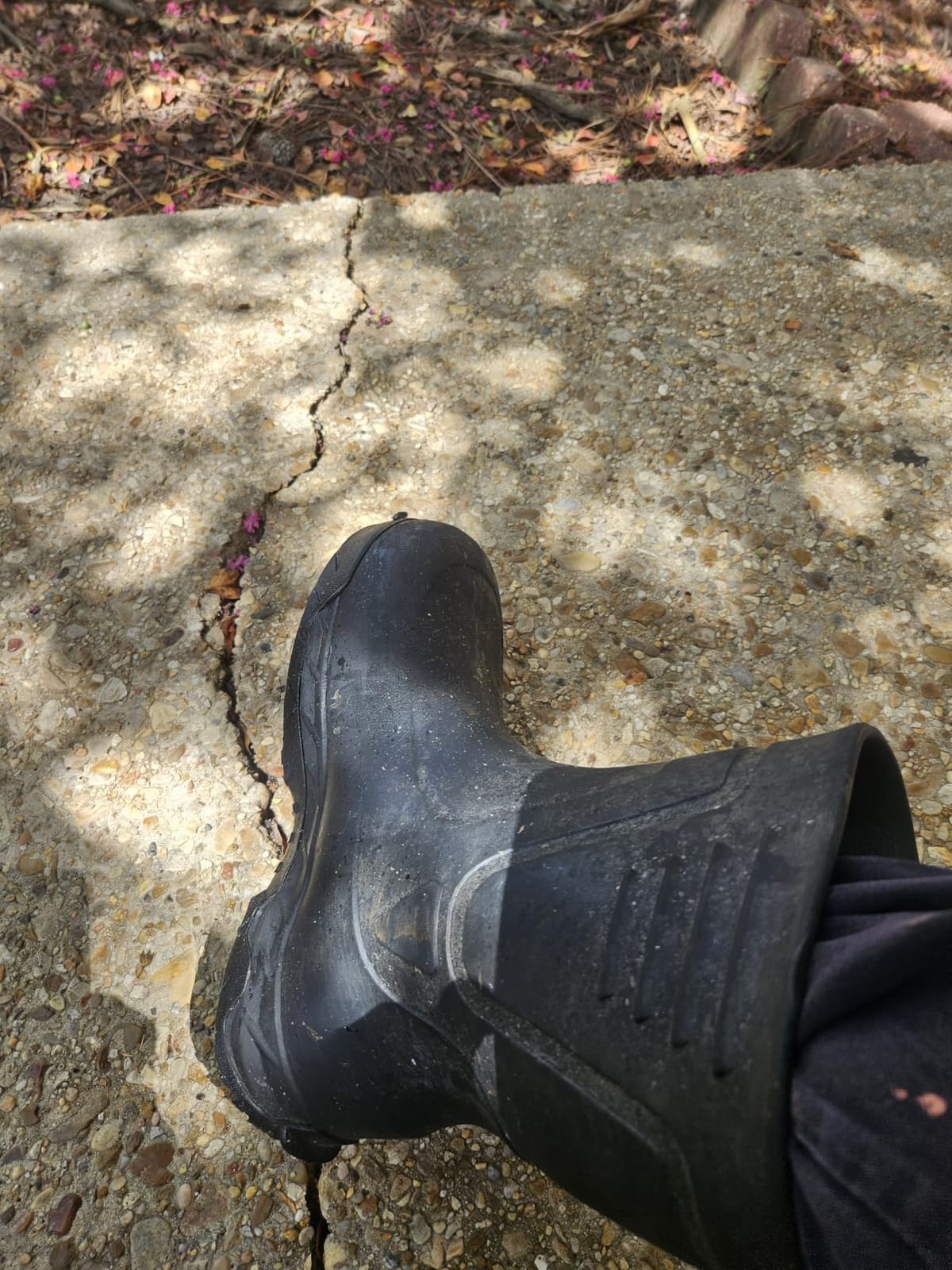 ACE Bullfrog Pro Unisex Soft Toe Work Boot, Non-Slip, EH-Rated customer photo 1