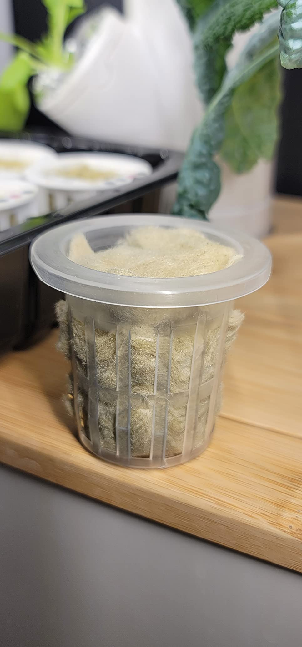 1.5 inch Rockwool/Stonewool Grow Cubes Starter Sheets for Cuttings, Cloning, Plant Propagation, Seed Starting Hydroponic Grow Media Growing Medium for Vigorous Plant Growth (28, 1.5) customer photo 2