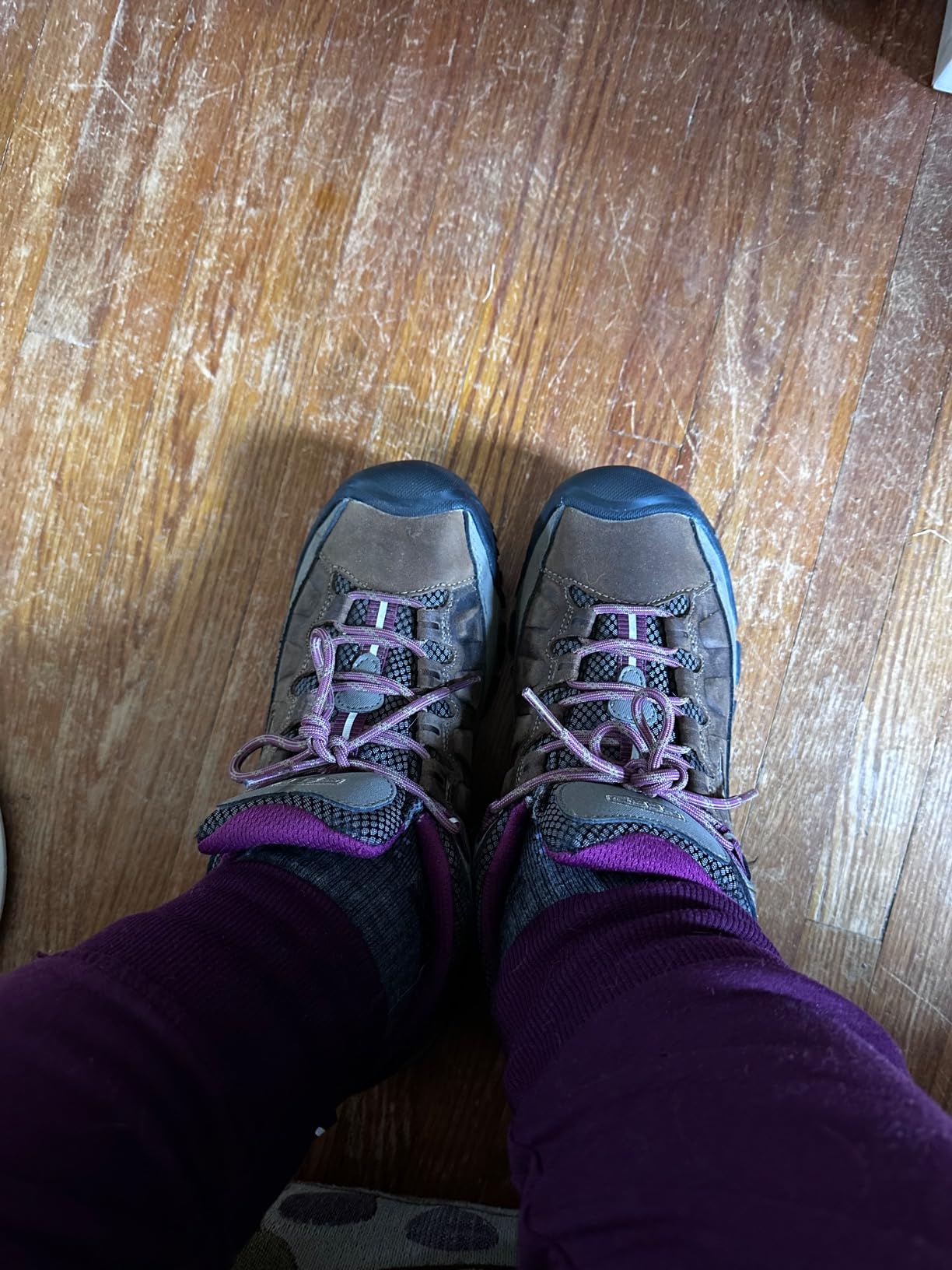 KEEN Women's Targhee 3 Low Height Waterproof Hiking Shoes customer photo 1