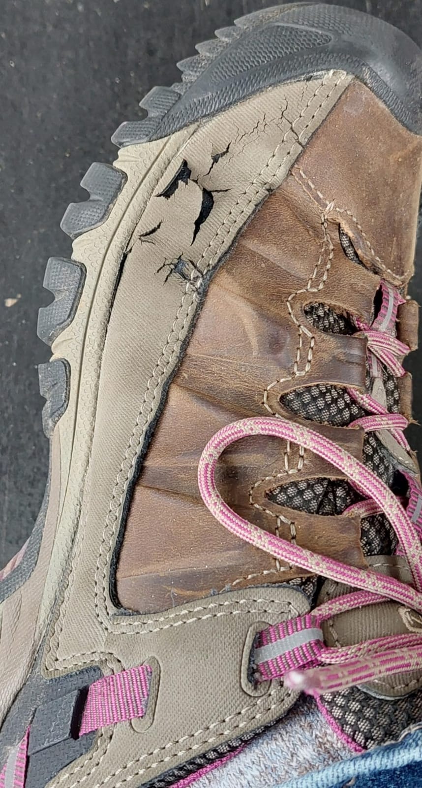 KEEN Women's Targhee 3 Low Height Waterproof Hiking Shoes customer photo 2