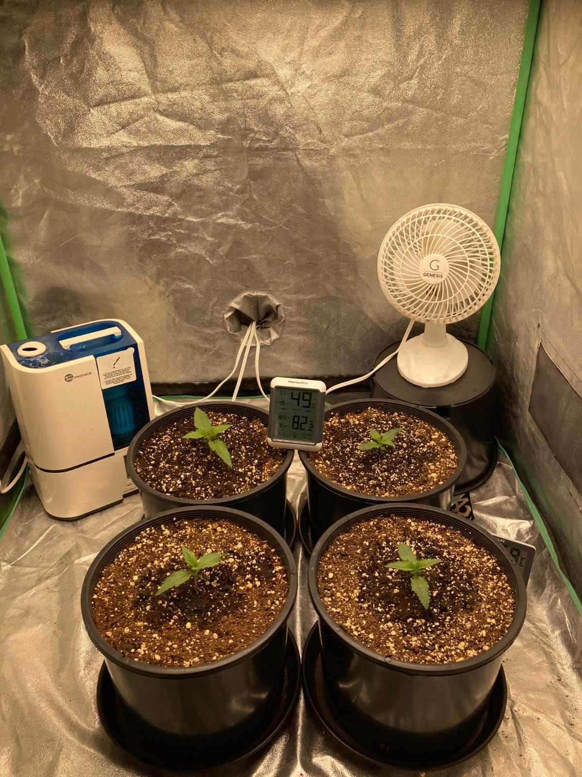 MARS HYDRO 100W TS600 2x2ft Dimmable LED Grow Lights for Indoor Plants customer photo 2