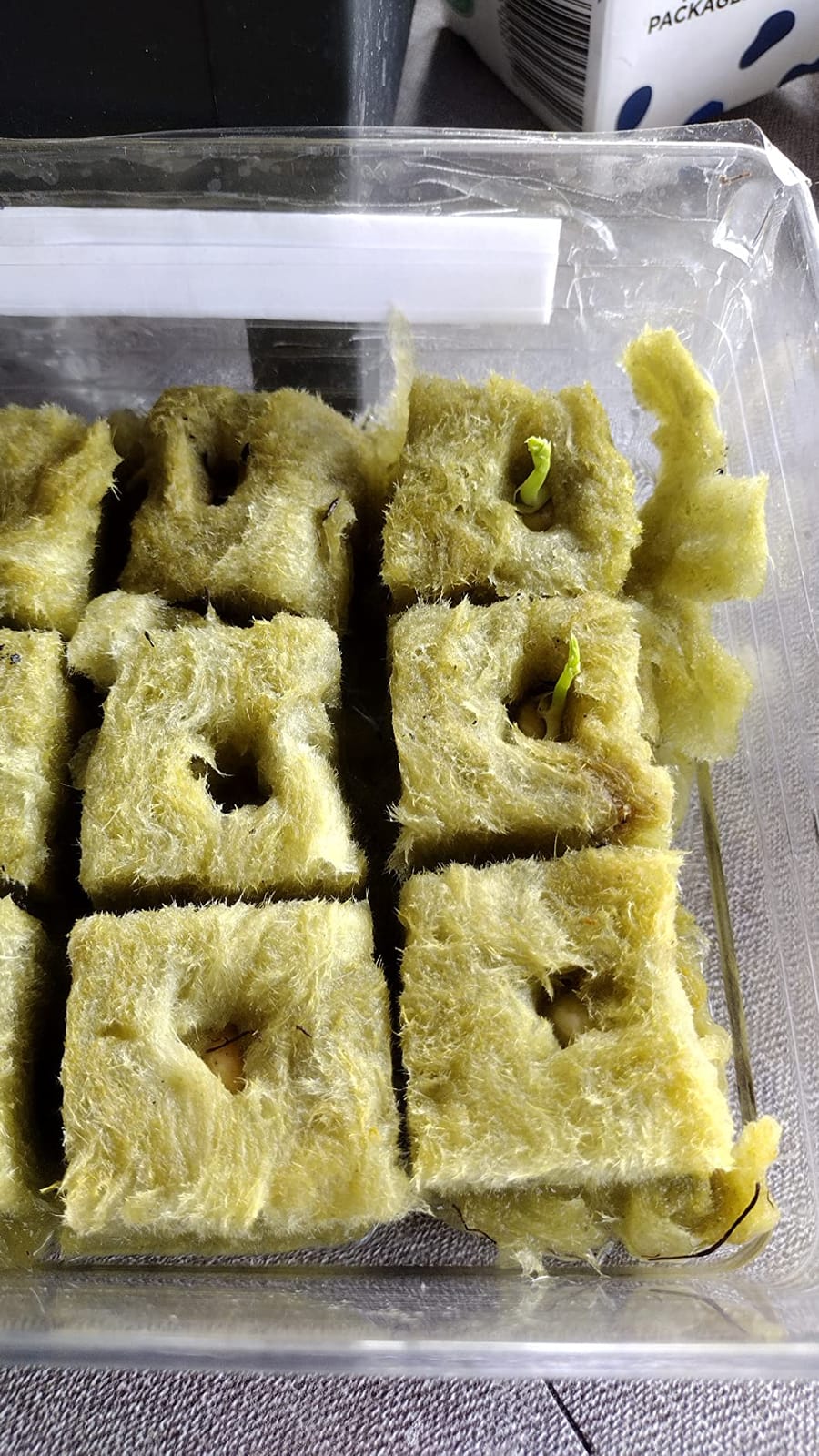 MI0512 1.5” Rockwool Starter Plugs for Hydroponics, Rockwool Grow Cubes, 1 Sheets of 28 Plugs (Small) customer photo 1