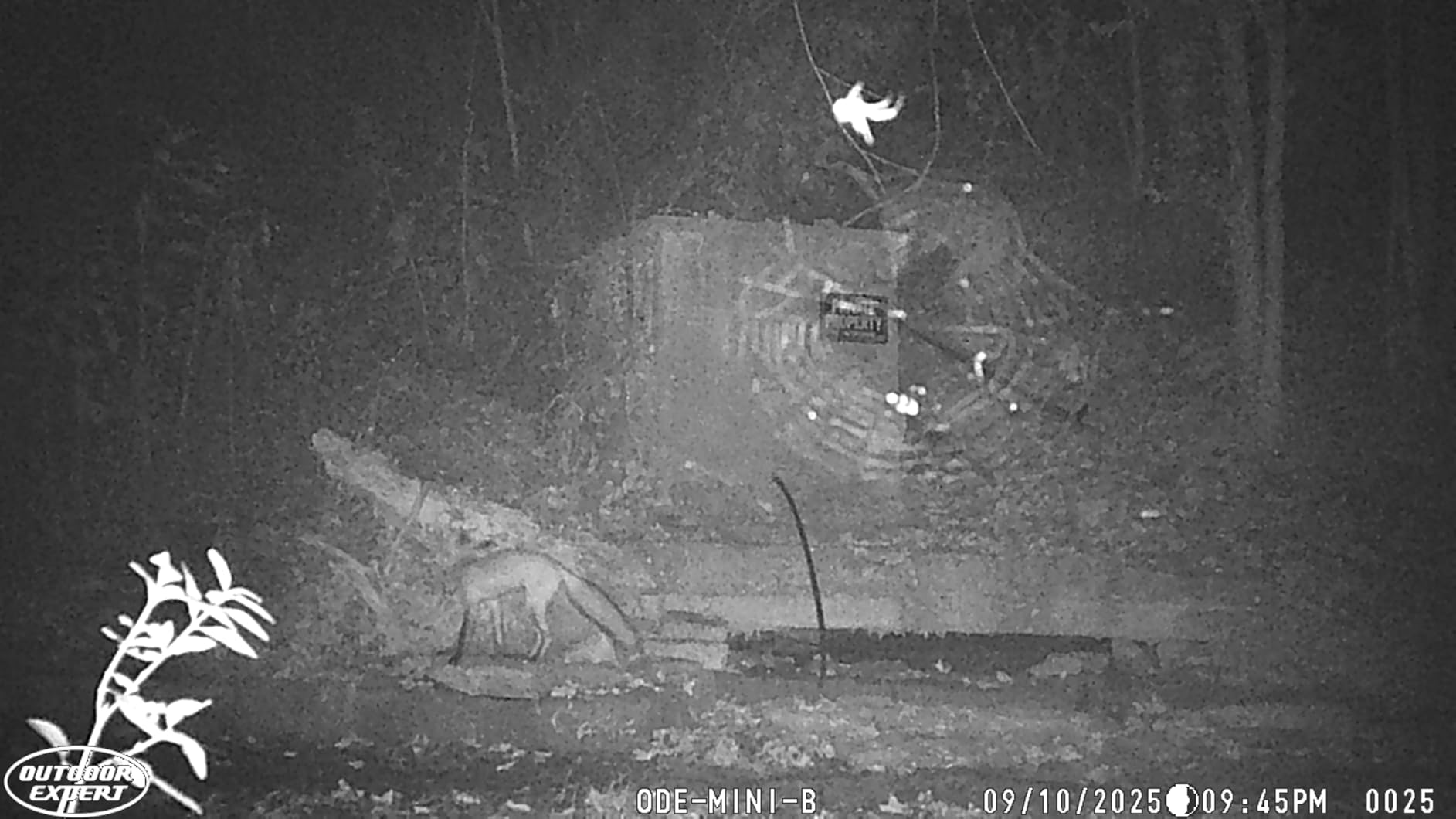OUTDOOR EXPERT Game Camera 20MP Mini, 1080P Hunting Trail Camera with No Glow 940nm Night Vision, Motion Activated, IP66 Waterproof, 80ft Illumination Range for Wildlife Monitoring, Outdoor Use customer photo 2