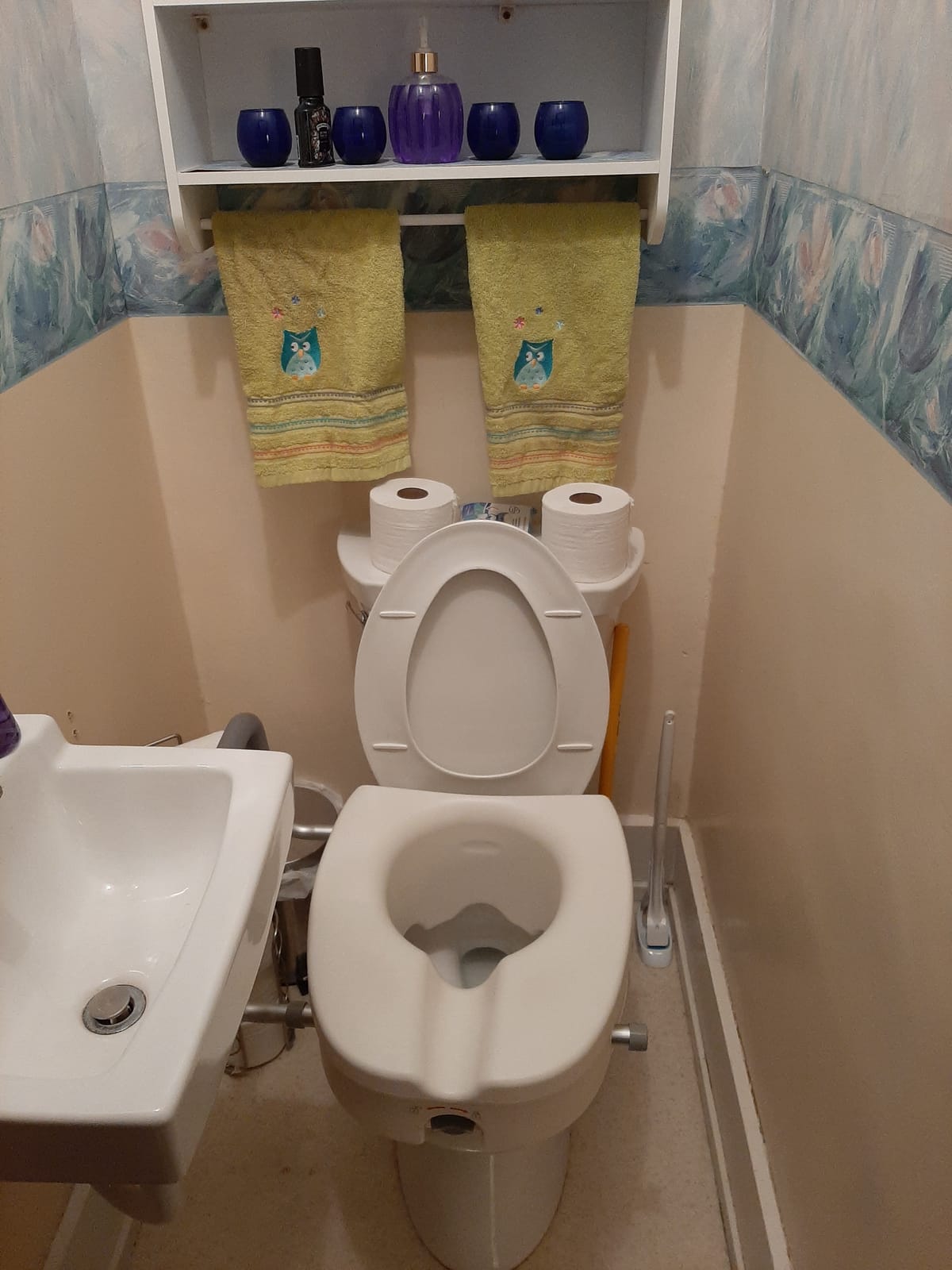RMS Raised Toilet Seat - 5 Inch Elevated Riser with Adjustable Padded Arms customer photo 1