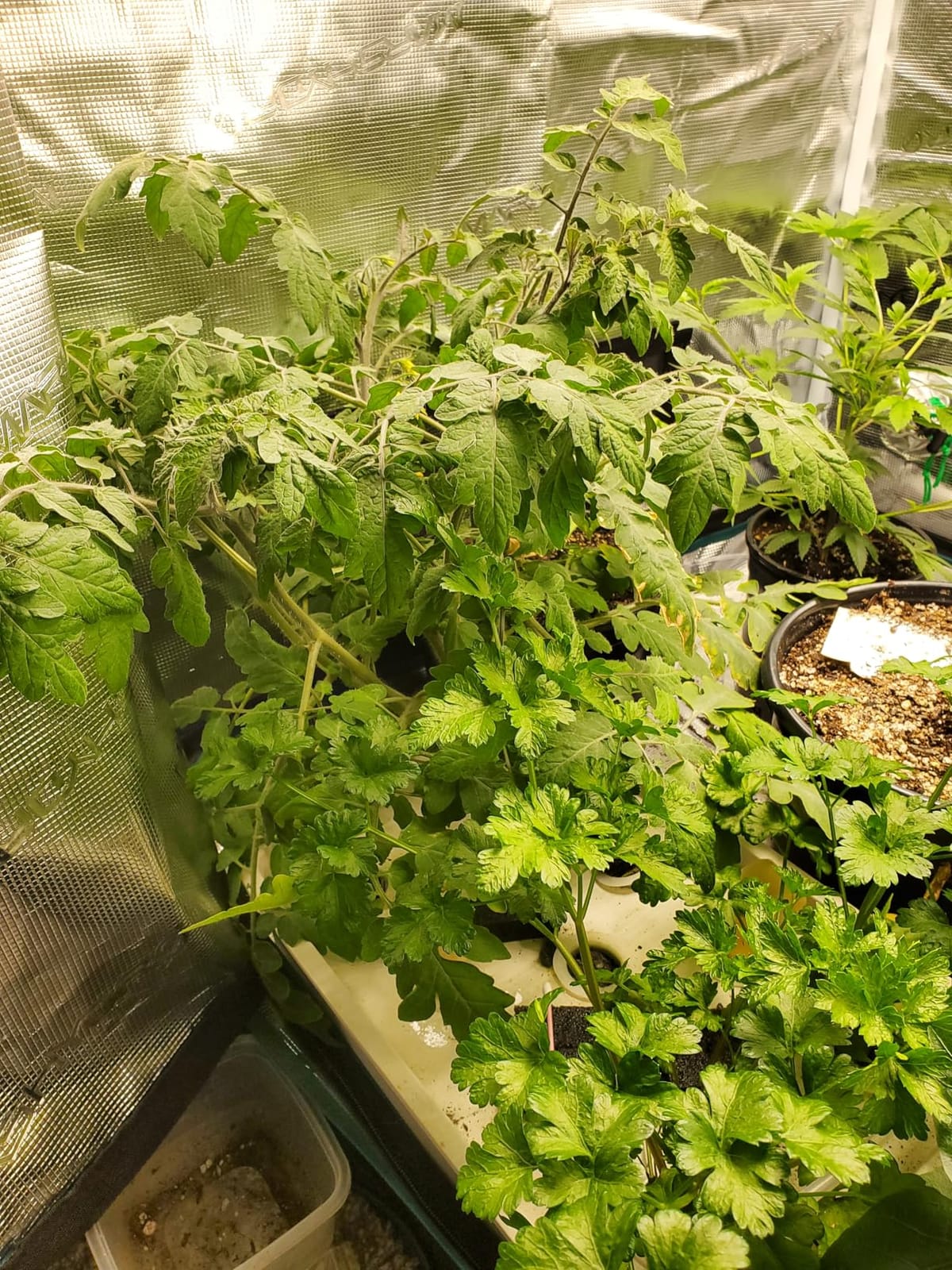 MARS HYDRO 3x3 Smart Grow Tent Kit with TS1000 with iControl Controller customer photo 2