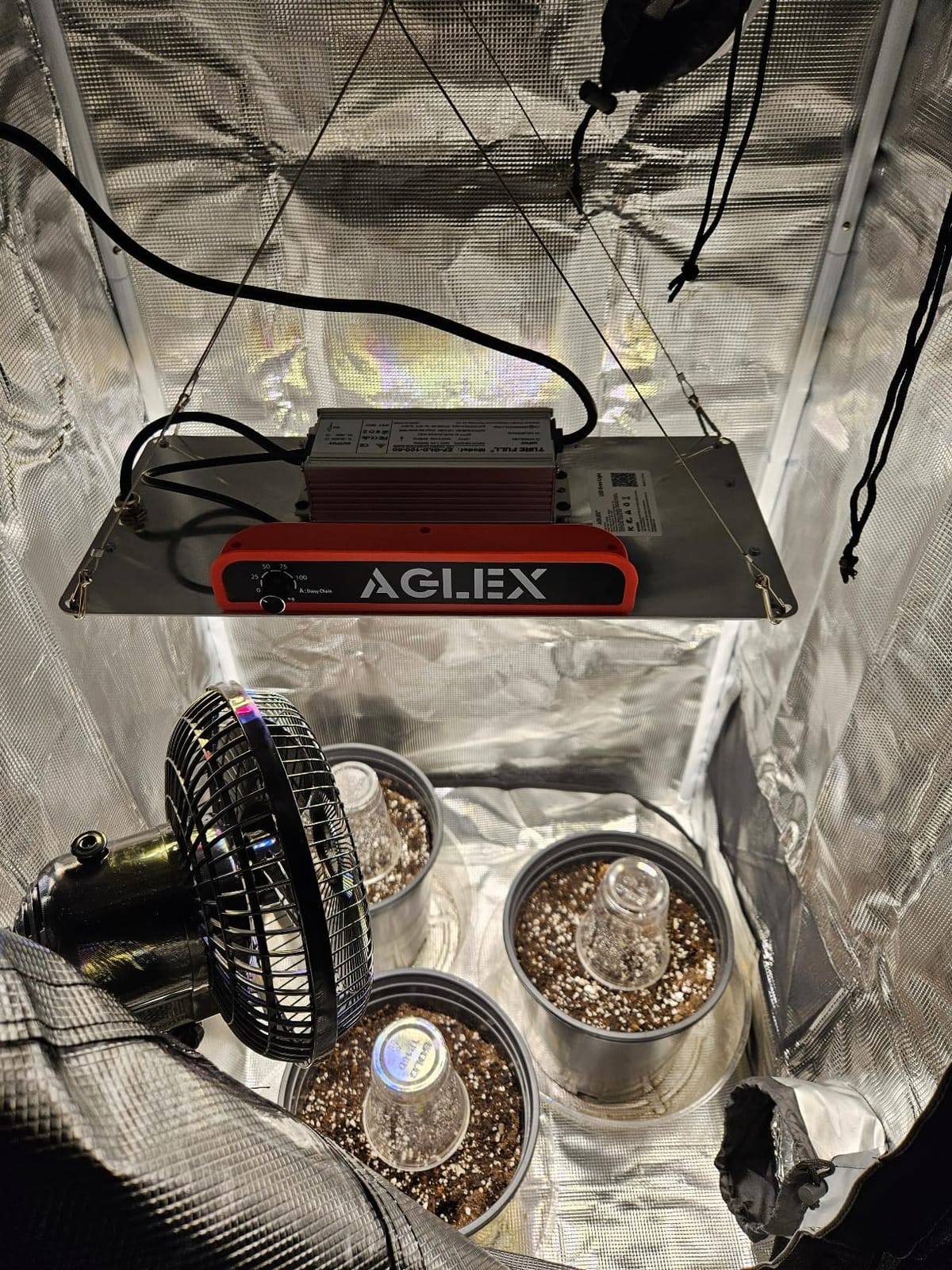 AGLEX K1000 LED Grow Light, Grow Light with Daisy Chain & Dimmable, Full Spectrum Plant Grow Lights for Hydroponic Indoor Plants Seeding customer photo 2