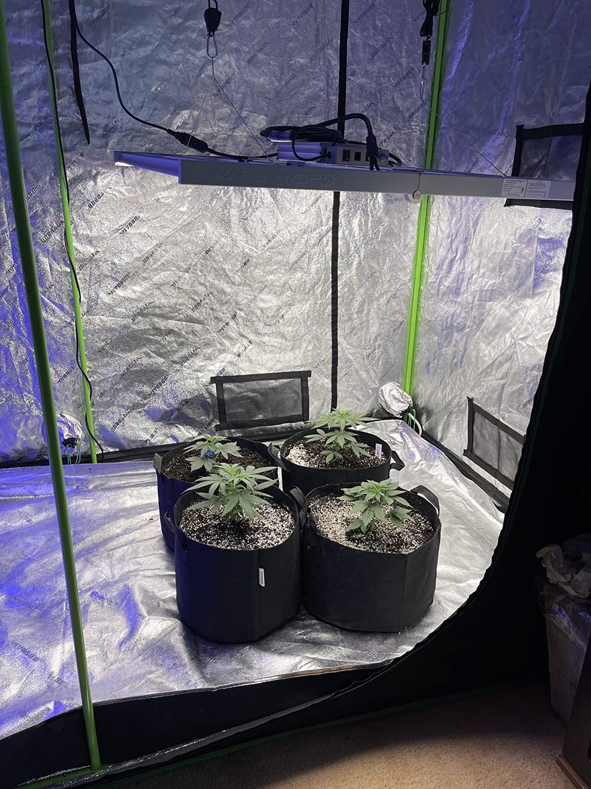 Mars Hydro FC-4800 480W 4x4 LED Grow Light Full Spectrum for Indoor Plants customer photo 2