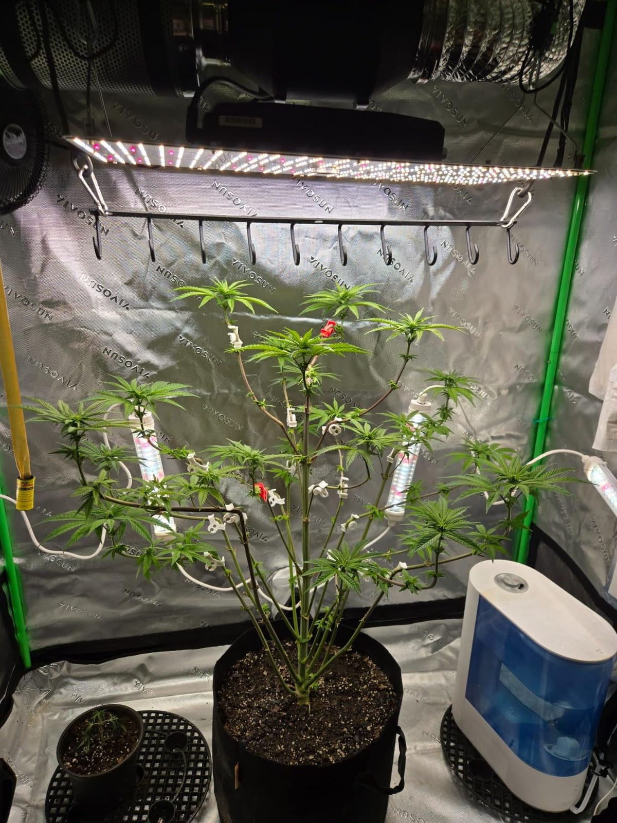 VIVOSUN Complete Grow Tent Kit for 2x2 ft Indoor Growing, 24