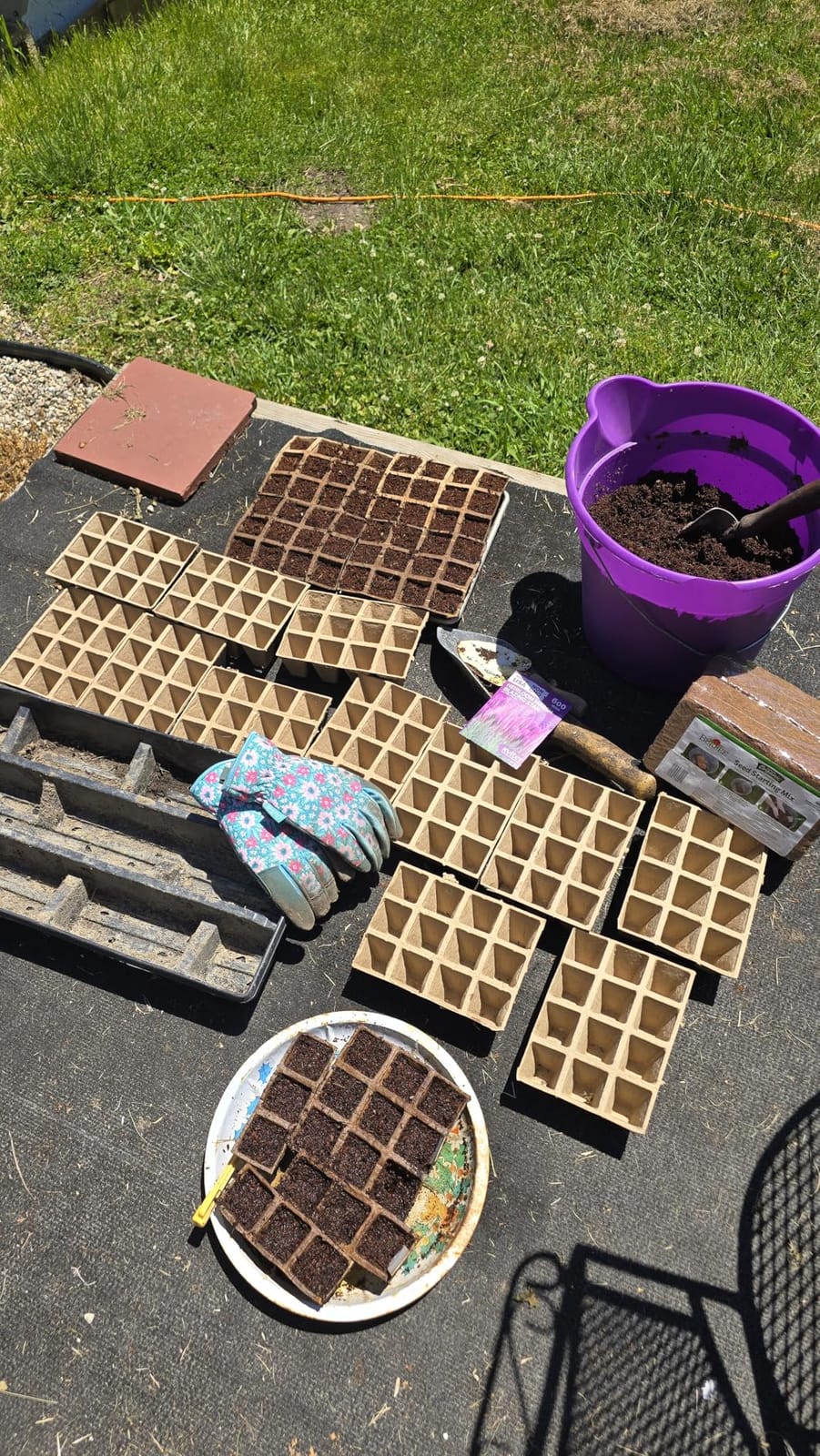 Jucoan 40 Pack Peat Pots Seed Starter Trays, 480 Cells Germination Seedling Pots, Organic Biodegradable Plant Germination Tray with 40 Plant Labels for Vegetable Flower, Herbs, Indoor Outdoor Garden customer photo 1
