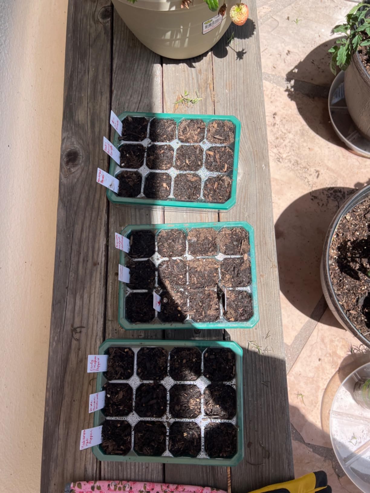 VIVOSUN 6-Pack Seed Starter Trays, 72-Cell Starter Kit with Humidity Dome customer photo 1