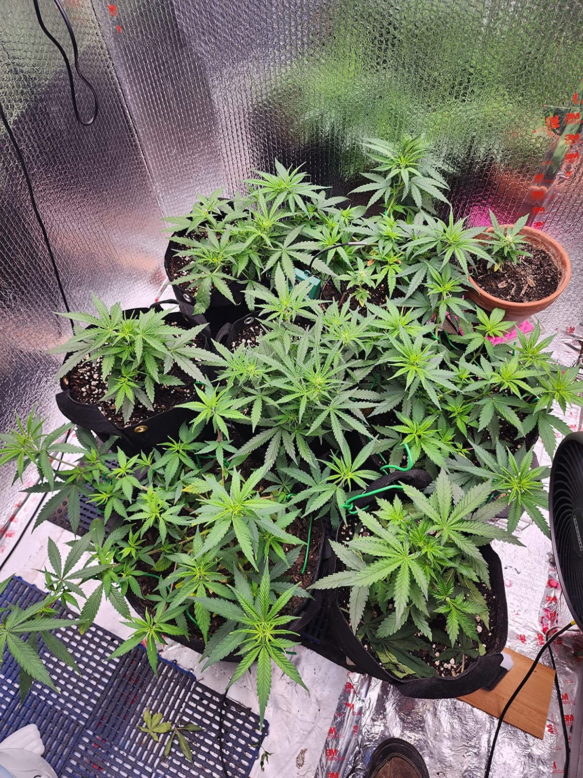 AC Infinity IONBOARD S22, LED Grow Light Board 2x2 with Dimming Control customer photo 2