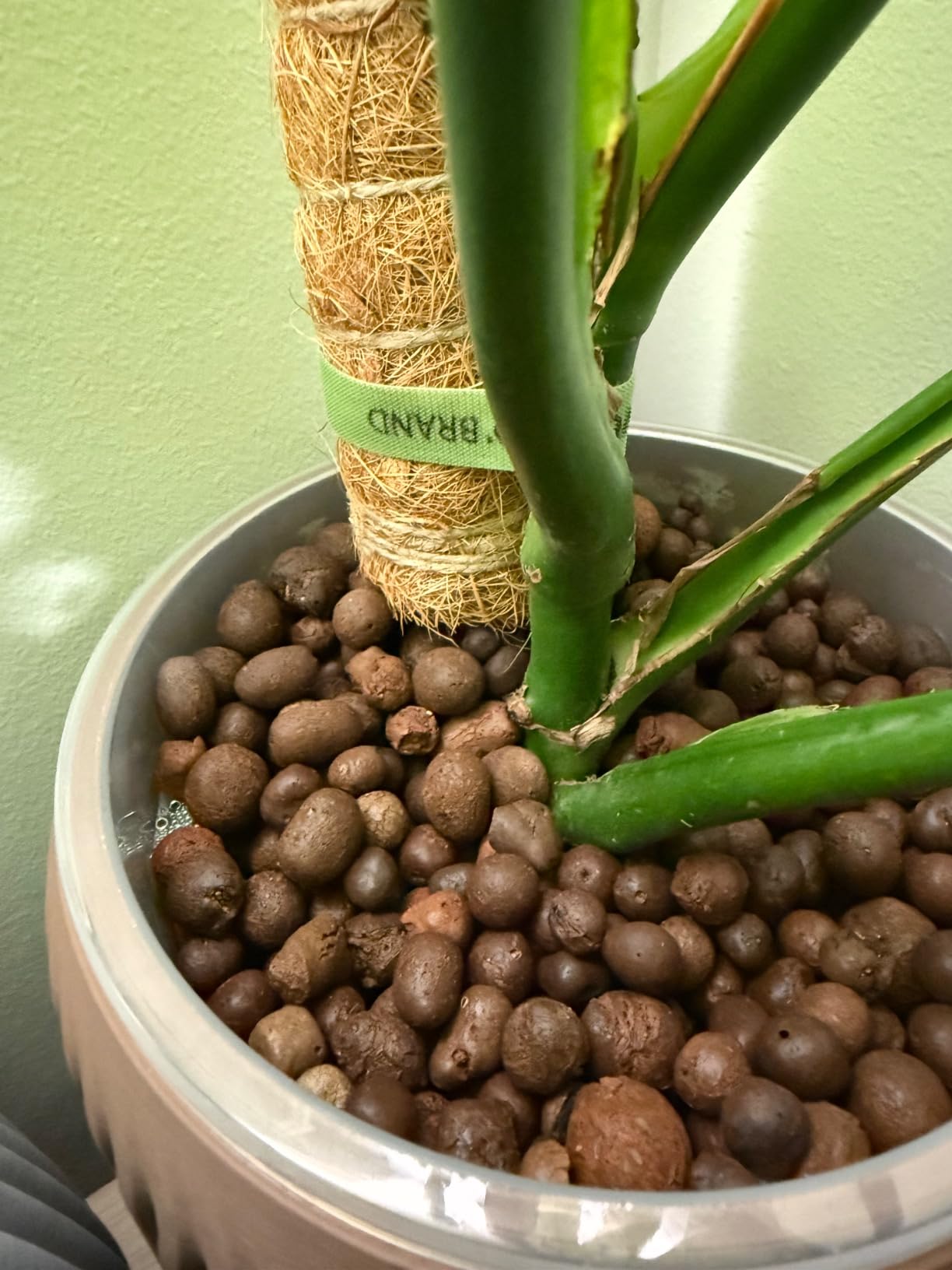 Legigo 10LB Leca Clay Pebbles for Plants 4mm-16mm Clay Balls for Hydroponic customer photo 1