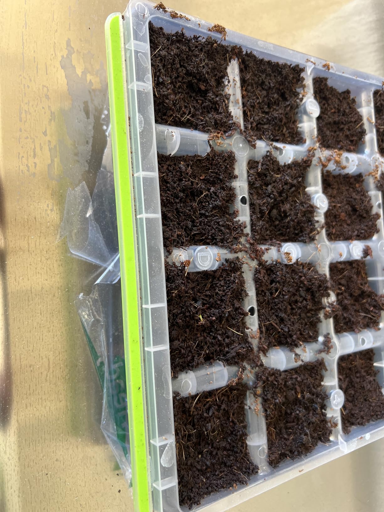 Burpee SuperSeed 36-Cell Reusable Seed Starting Tray for Indoor Seedlings customer photo 2
