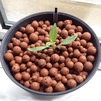 Voulosimi Clay Pebbles Hydroponic Rocks Organic Ceramsite Grow Media for Horticultural,Orchids,Drainage (18LB) customer photo 2