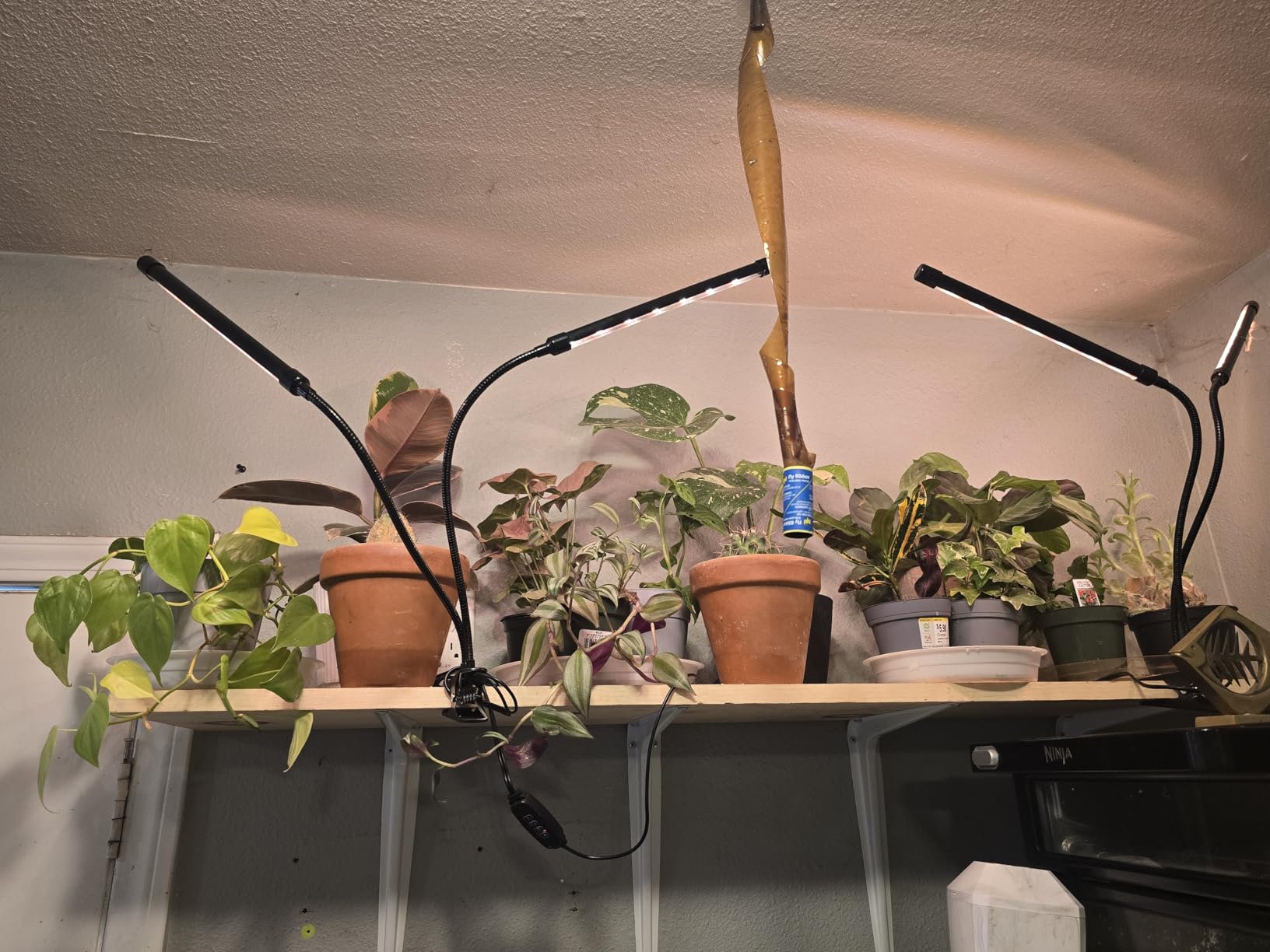 Grow Lights for Indoor Plants, Full Spectrum Tri-Head Clip Plant Lights customer photo 2