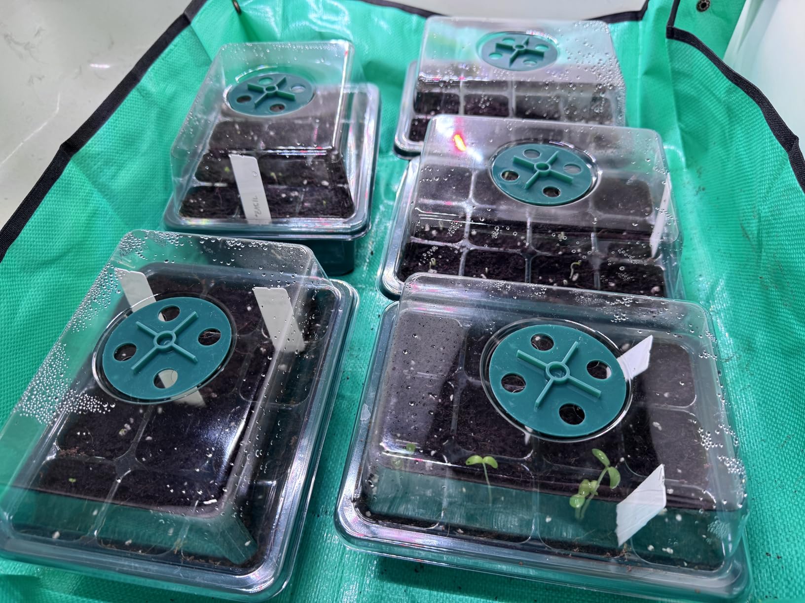 Wolezek Clip on Grow Lights for Indoor Plants, Full Spectrum 6000K customer photo 2