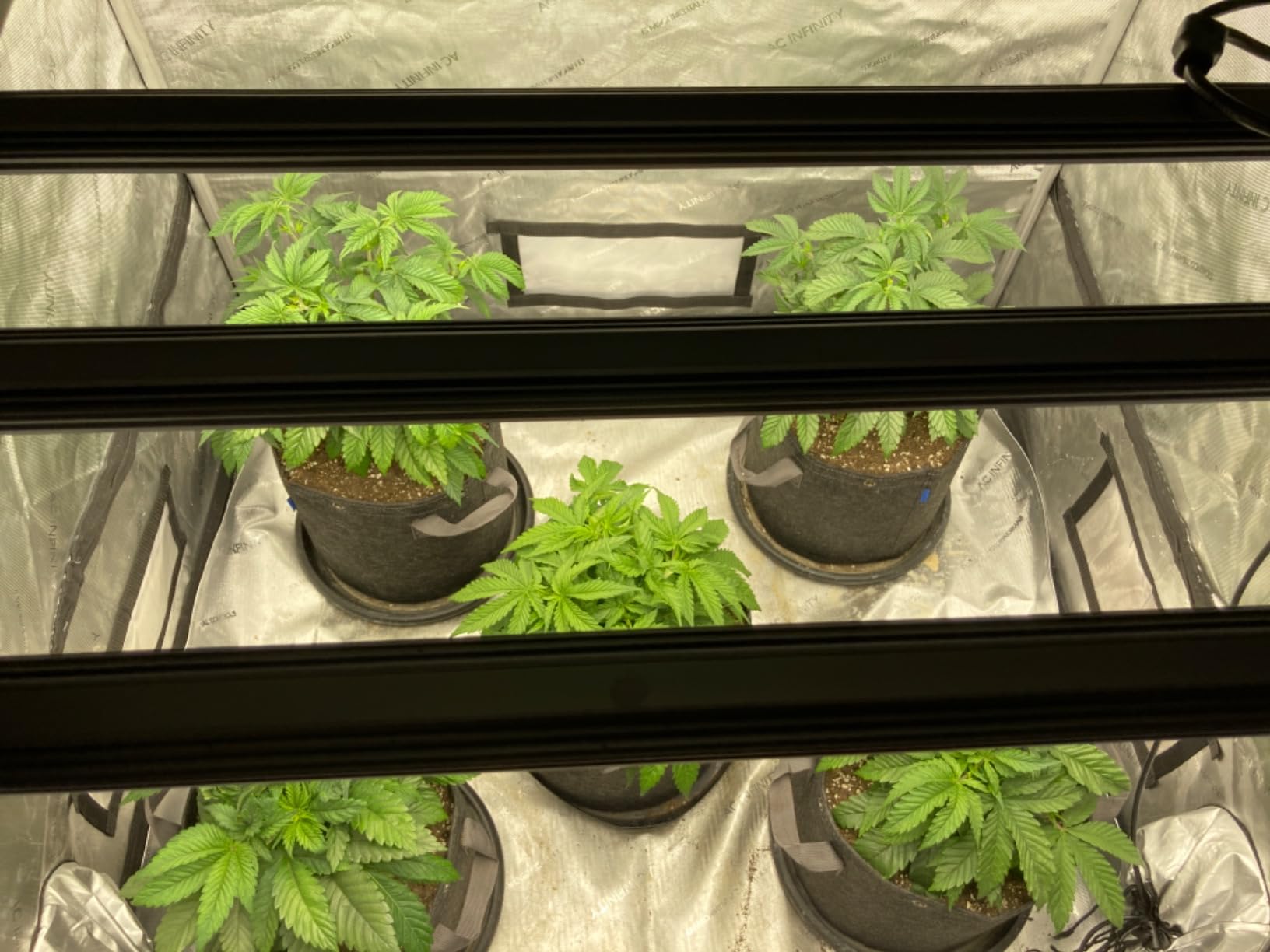 AC Infinity IONFRAME EVO6, 500W Samsung EVO Bar LED Grow Light 4x4 customer photo 2