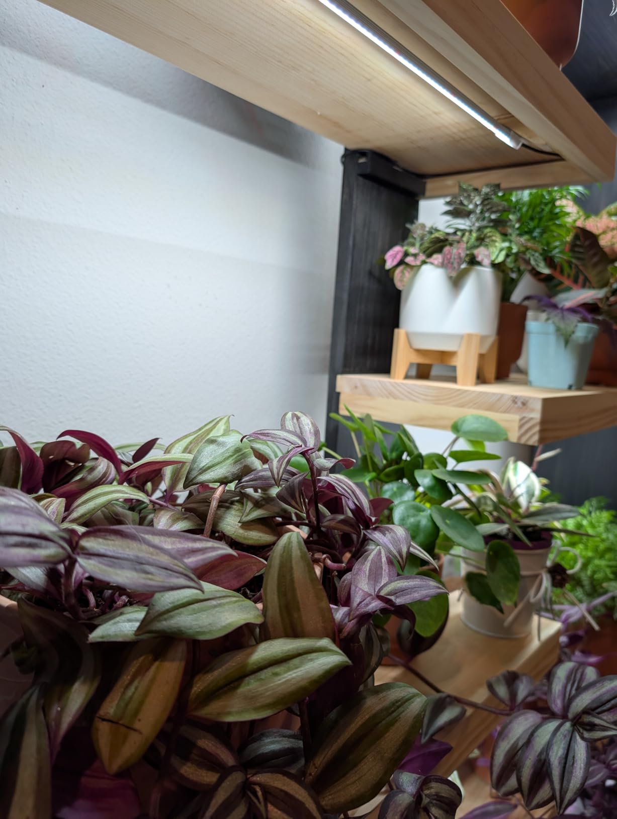 Wiaxulay 16in Plant Grow Light Strip for Indoor Growing, Full Spectrum 15W customer photo 2