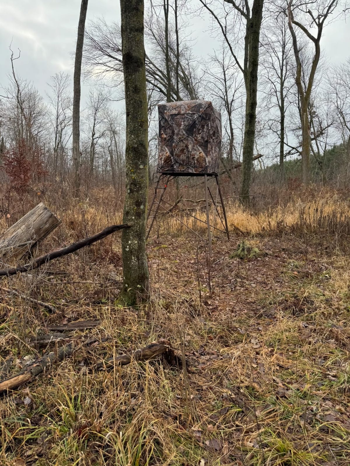 VENATIC 6' Tripod Hunting Tower Blind, 2 Person Hunting Stand with 4' x 4' Platform for Deer Hunting, Antelope and Elk customer photo 1